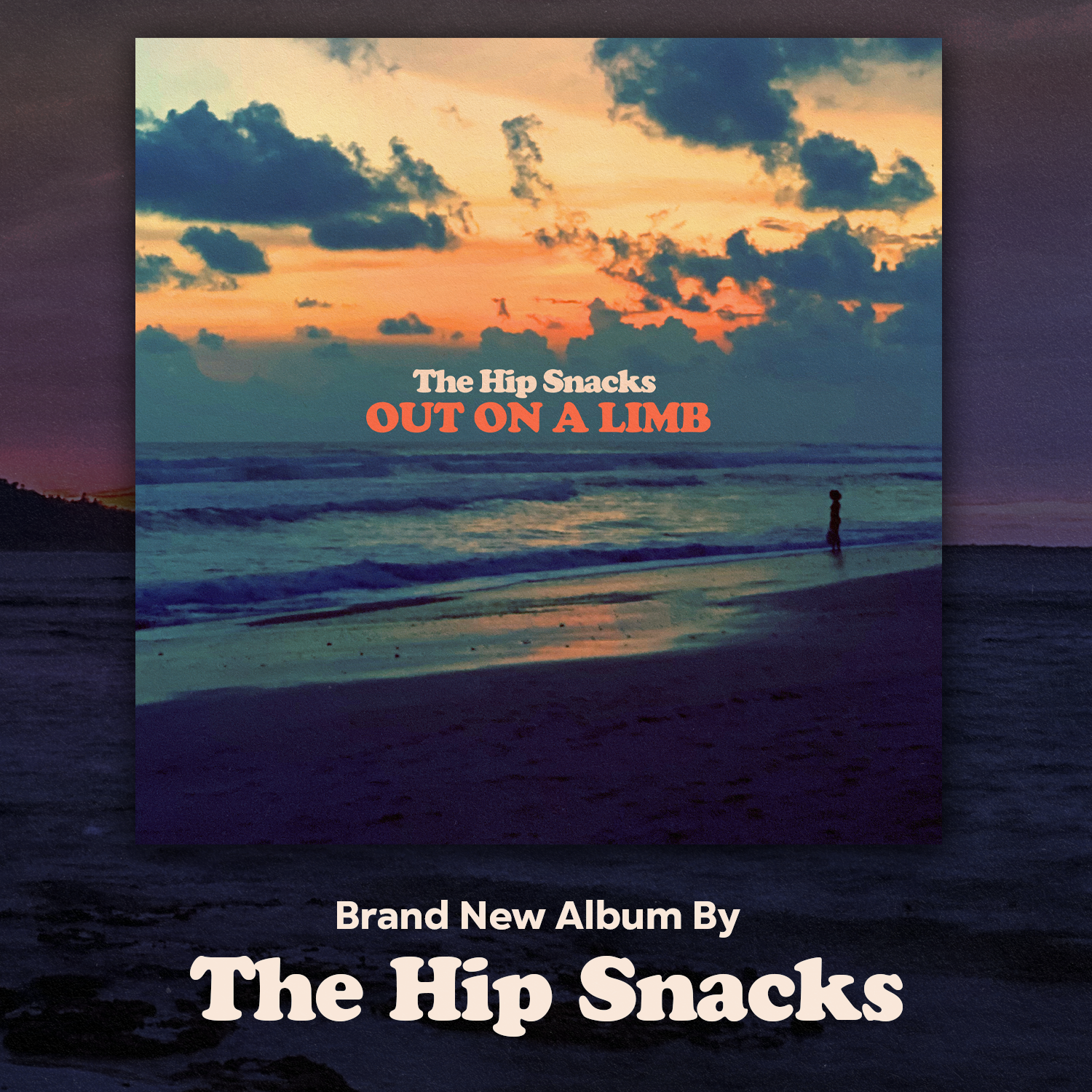 HipSnacks_OOAL square.png