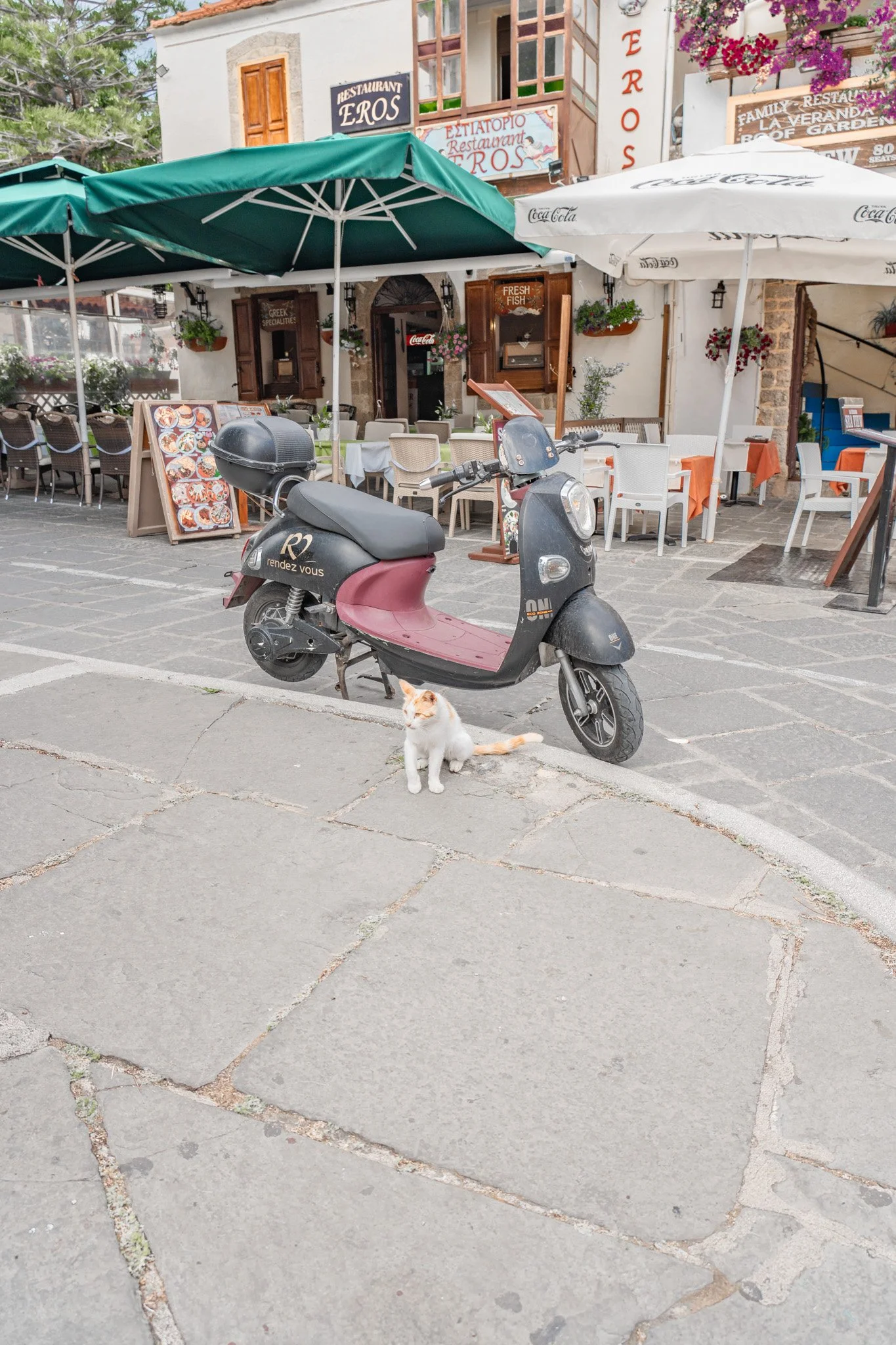 Rhodes_Greece_Andrew_and_Kait_2023-5.jpg