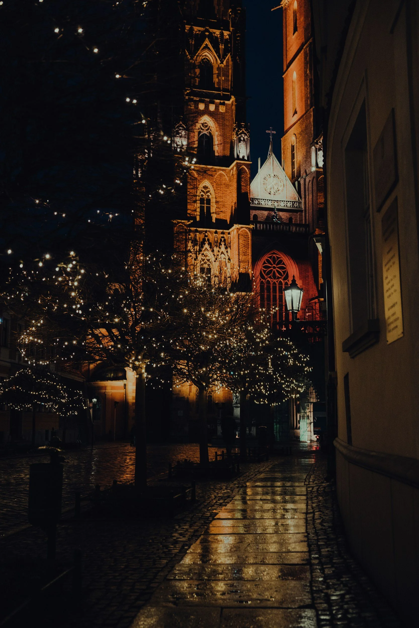 unsplash-image-jLUiNqM_EDQ.jpg