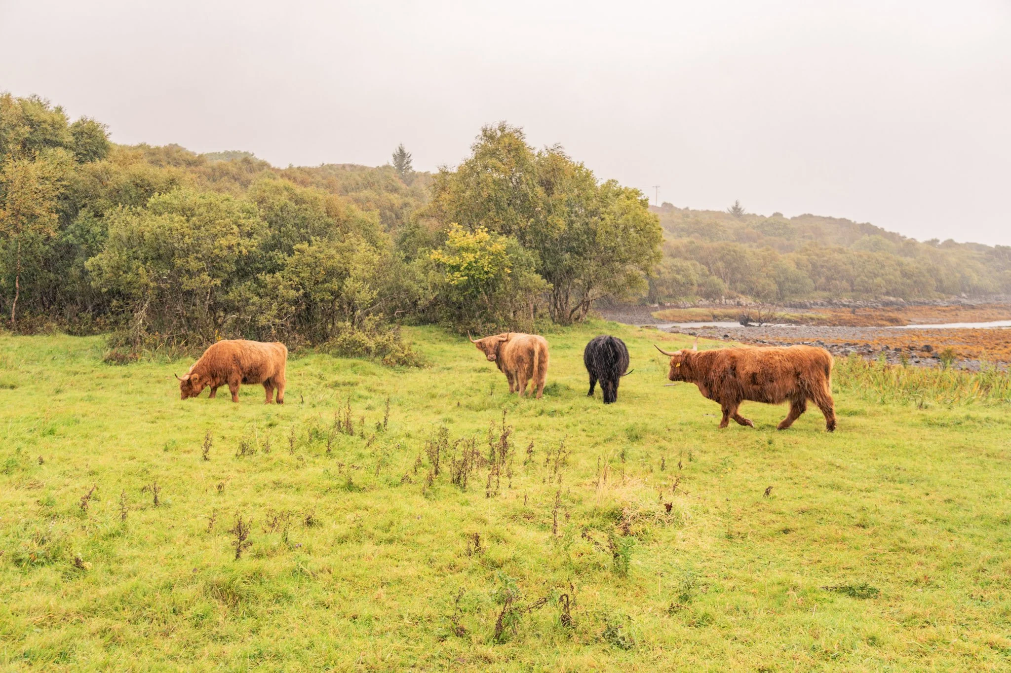 Scotland_UK_Andrew_and_Kait_2023-7.jpg