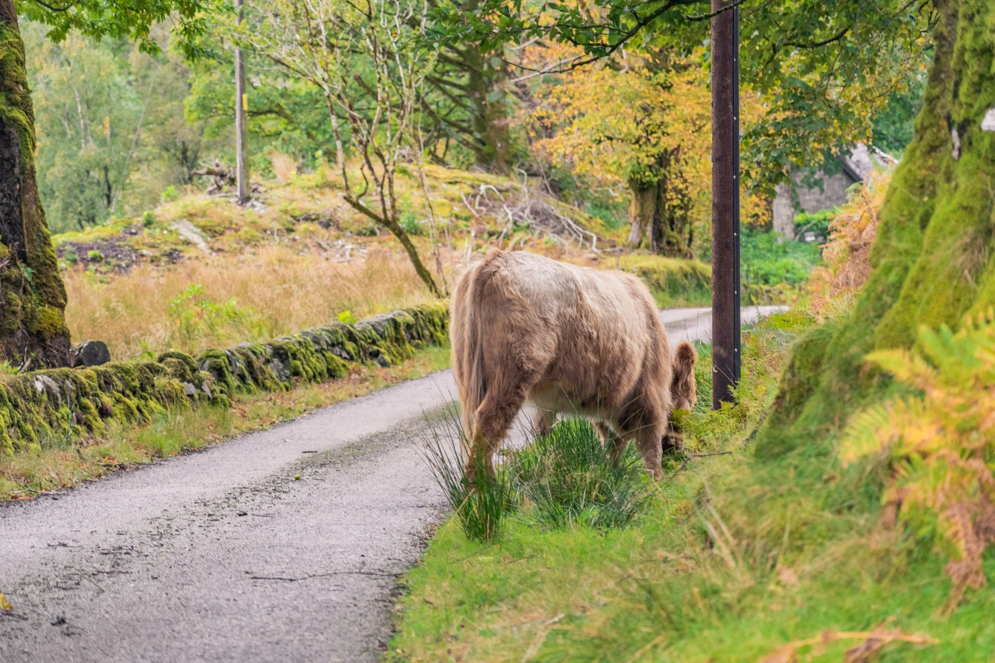 Scotland_UK_Andrew_and_Kait_2023-10.jpg
