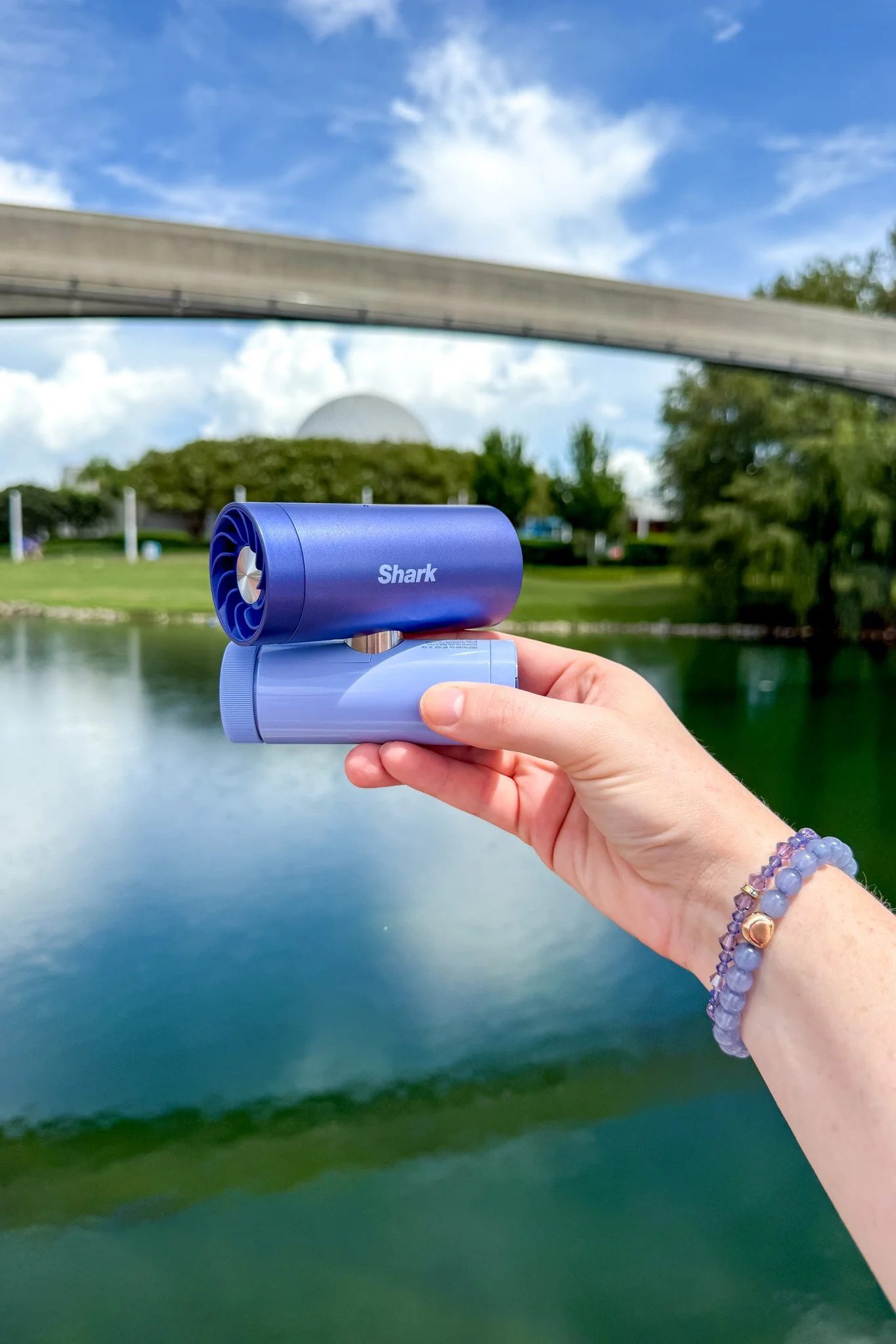 fan-disney-world-andrew-and-kait-2026-3.jpg