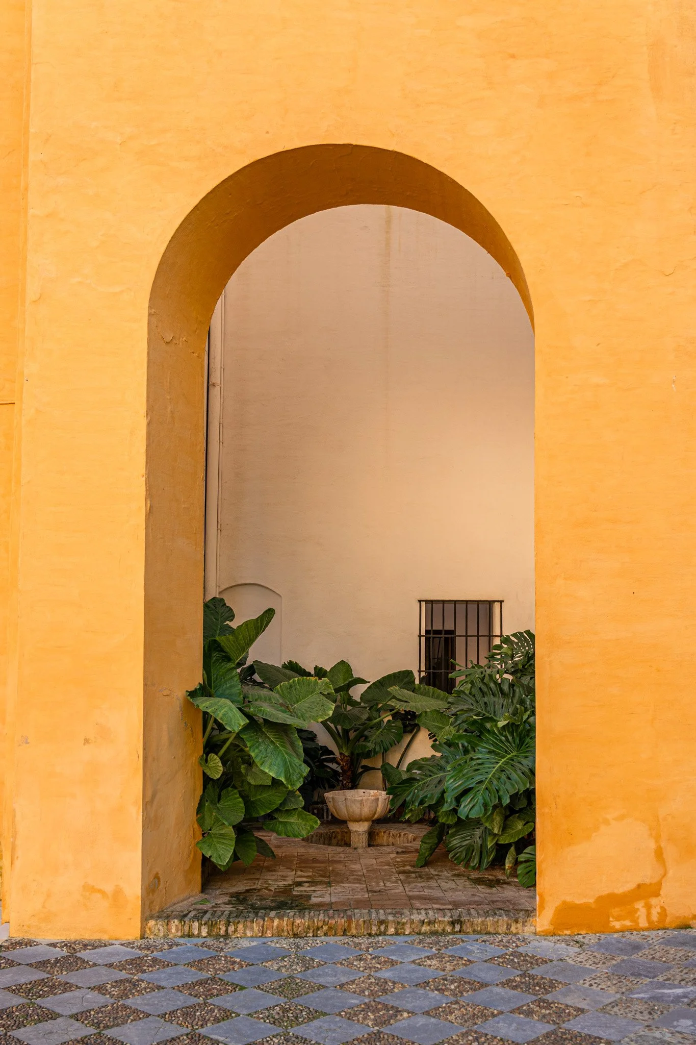 seville-spain-andrew-and-kait-2023-5.jpg