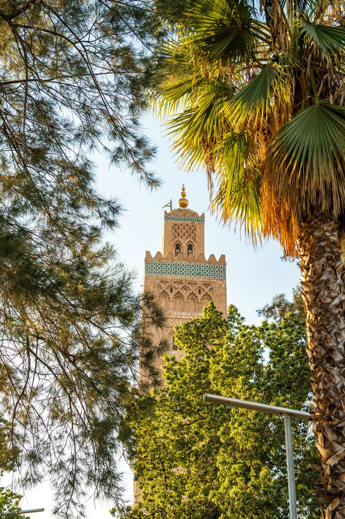 A tower of the Koutoubia Mosque peeks through trees, including palm and pine, with a clear blue sky in the background.