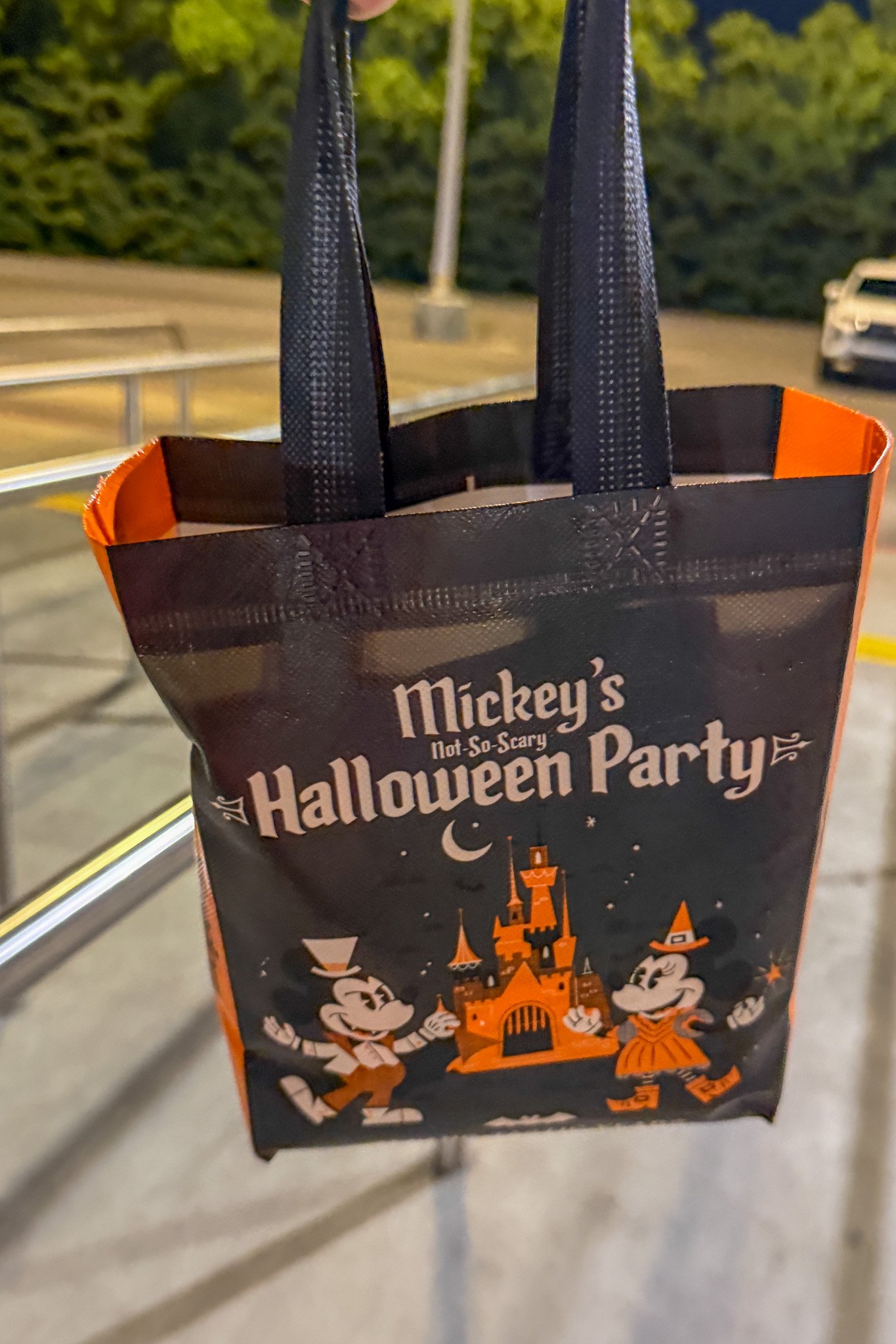 mnsshp-magic-kingdom-disney-world-andrew-and-kait-2026-61.jpg