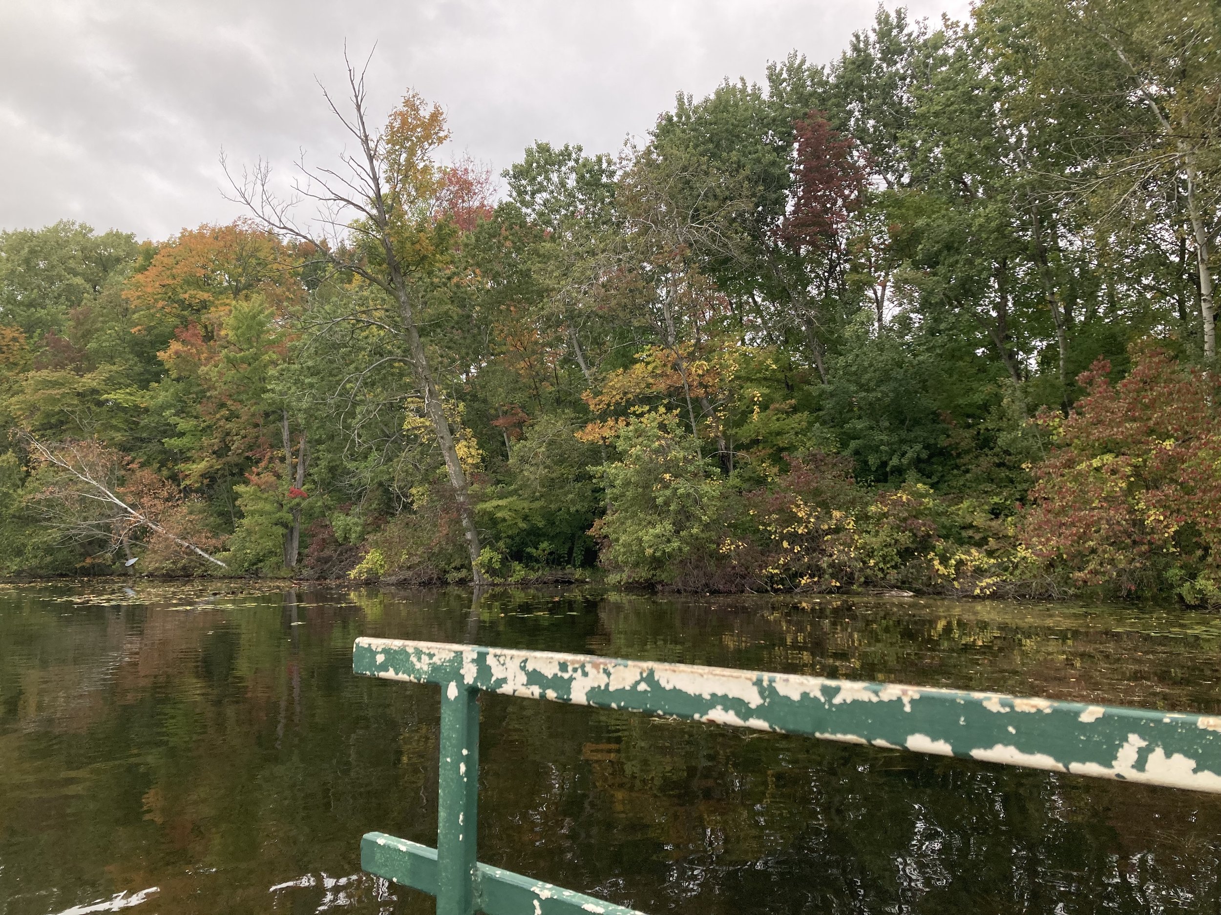 A lake in early autumn, surrounded by trees, and a wooden banister with chipping green paint jutting out from the bottom right corner.