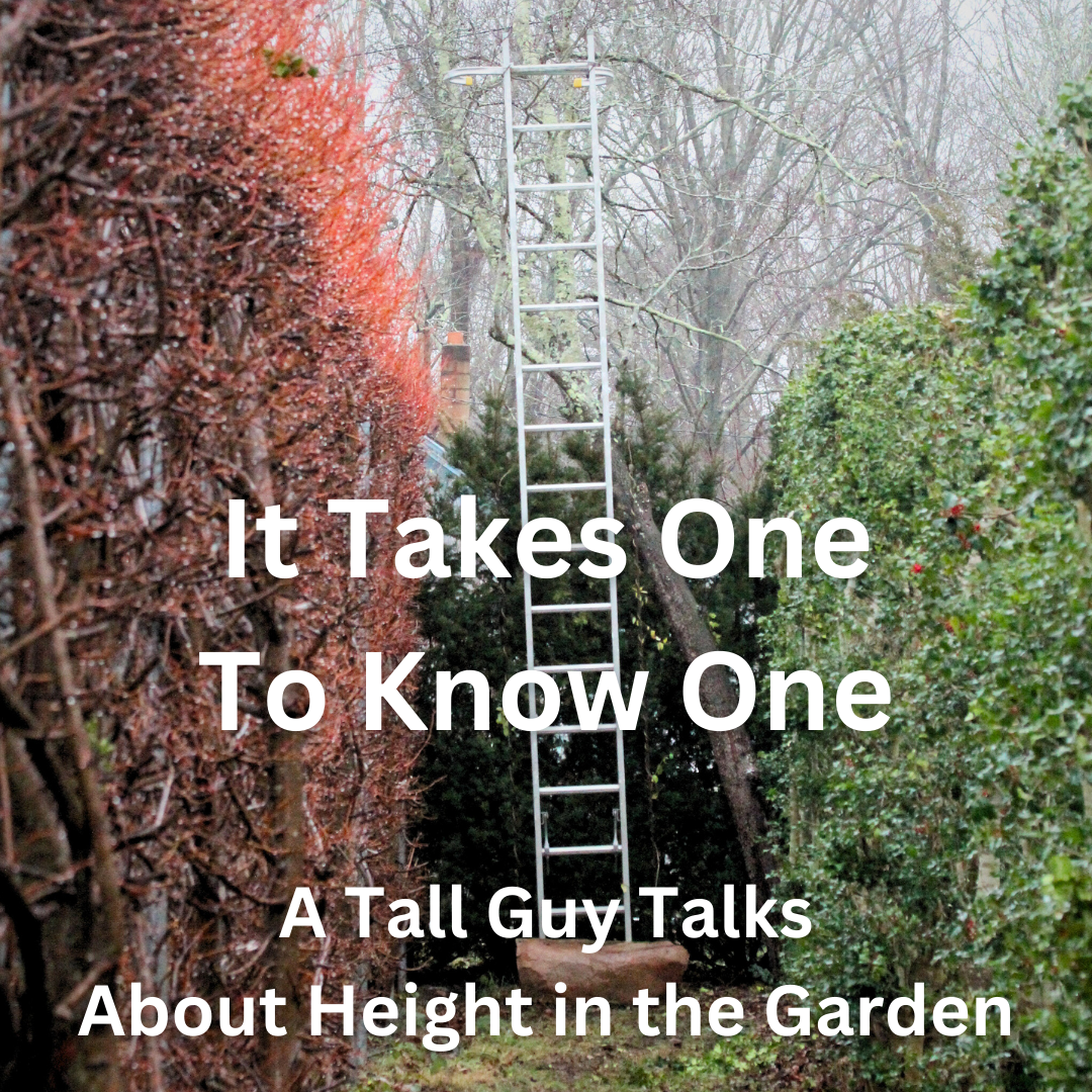 Height.png