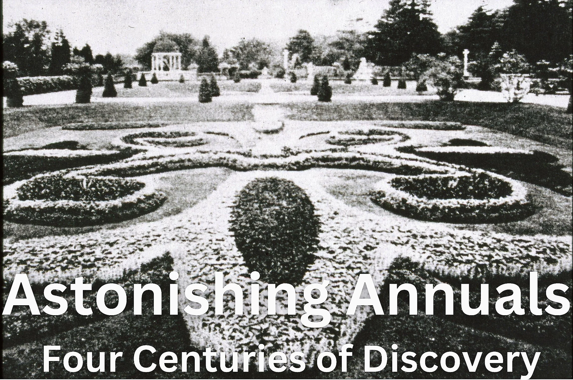 Annuals.jpg