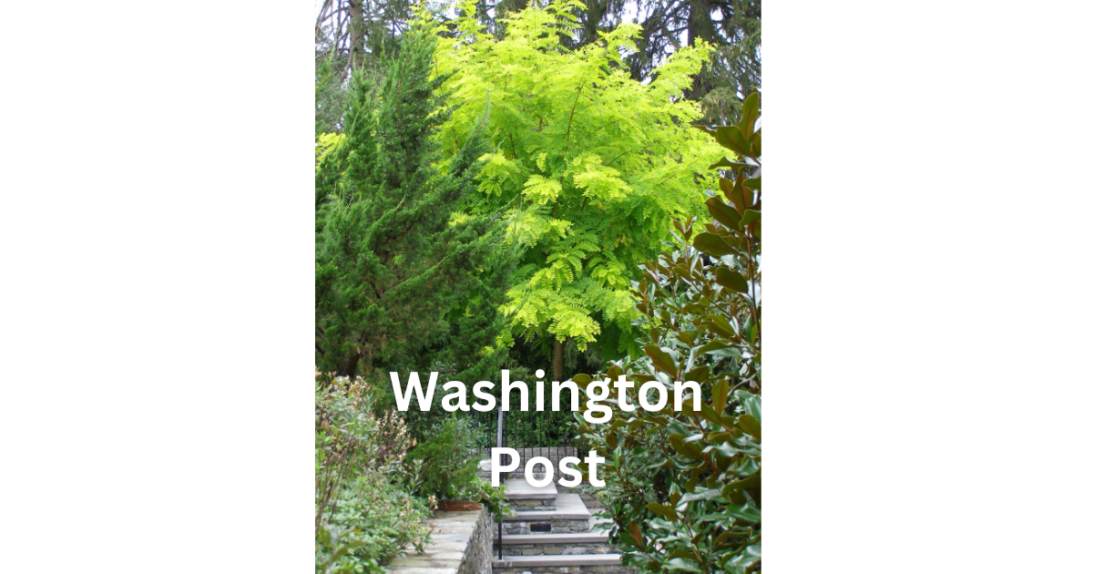 An  interview from "Washington Post" garden editor Adrian Higgins resulted from a prior "Metropolitan Home" feature on a client with severe bee allergies.  (See the turreted house elsewhere in the above gallery & click that image.)  This shot from th