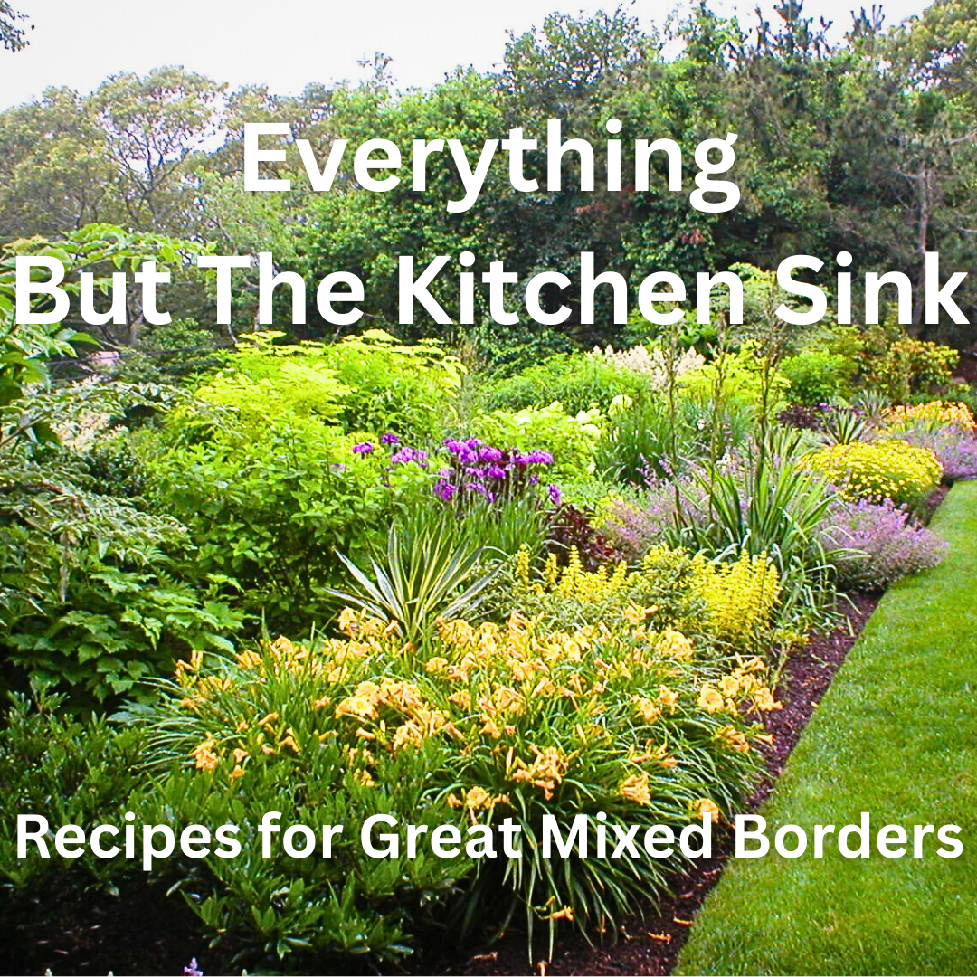 Kitchen Sink.png