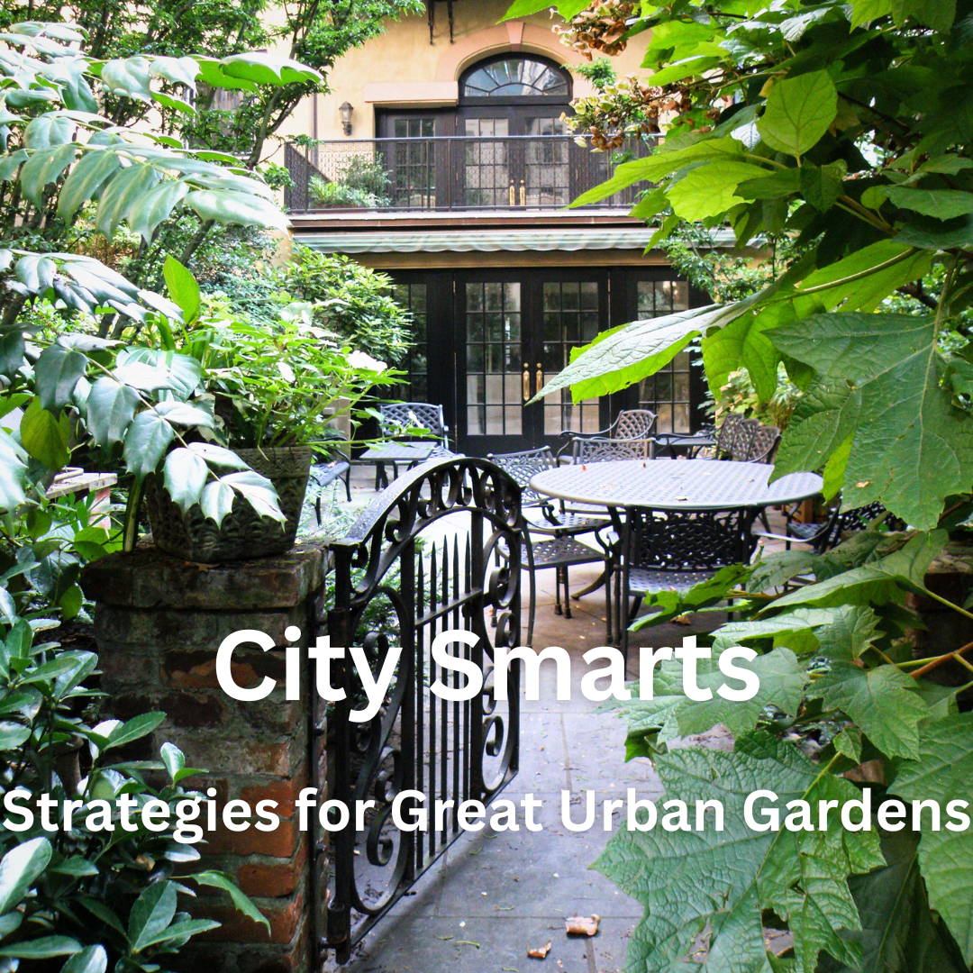 City Gardens.png