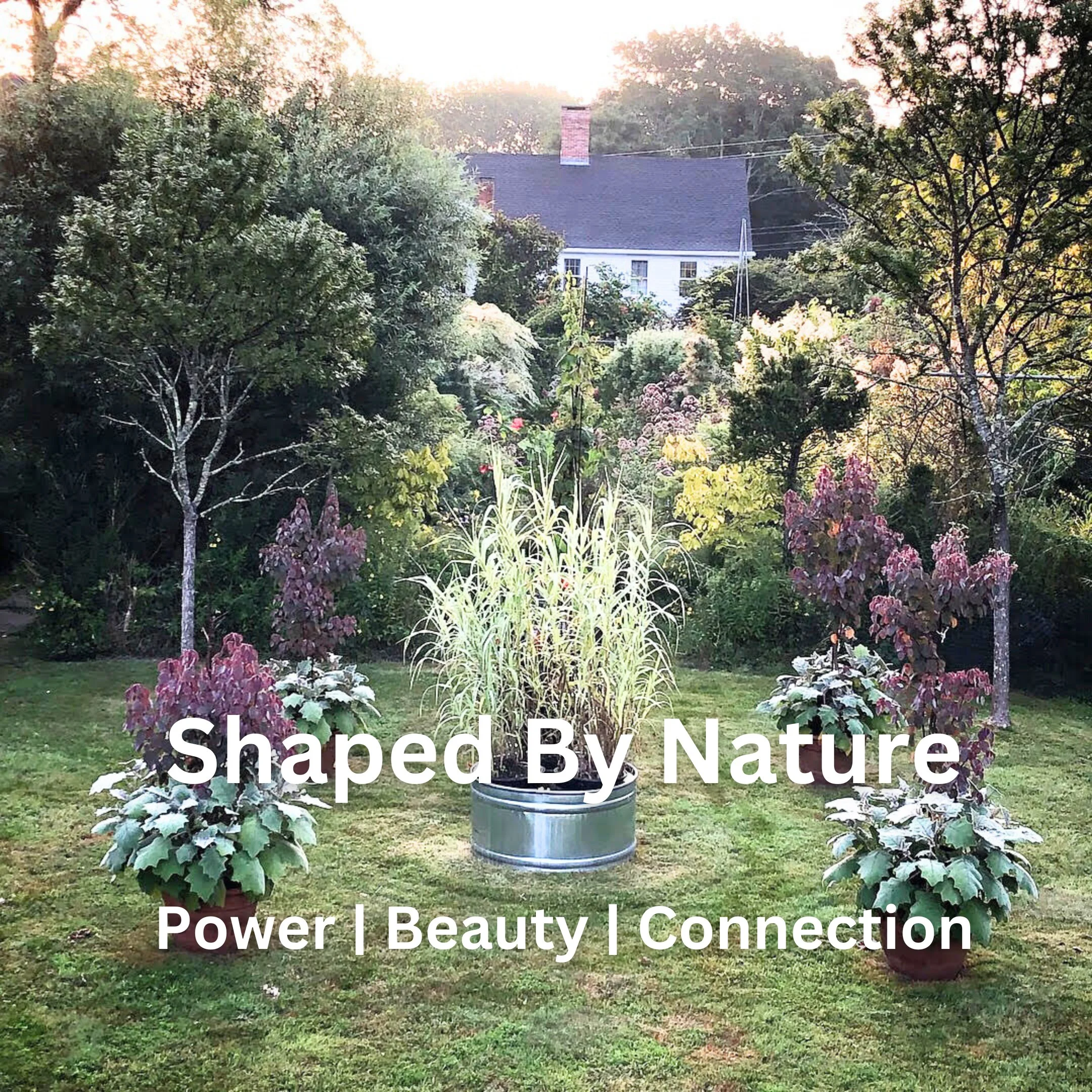 Shaped By Nature cover.jpg