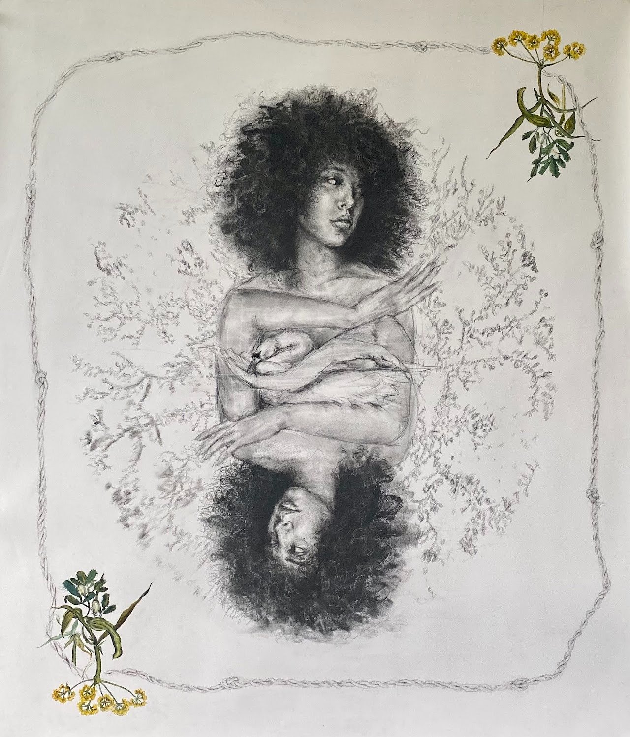 Fecundity Trick Card, 2021
Charcoal and carbon with oil paint on oil paper
52 x 44”
