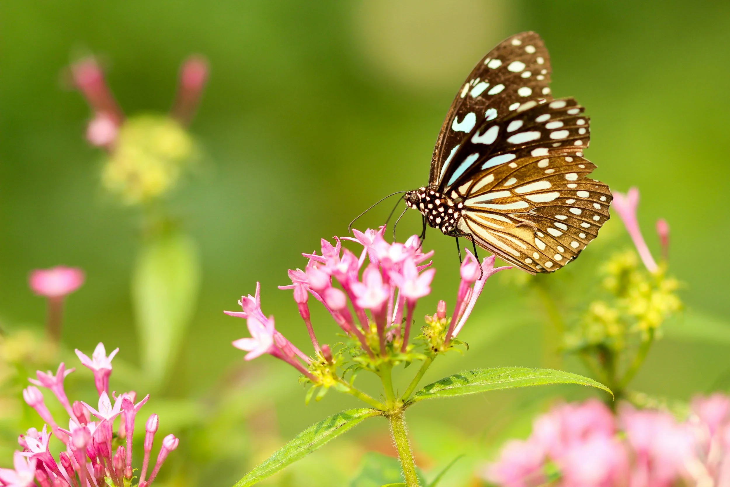 Spring Reset: Small Changes to Improve Your Mental Health This Season