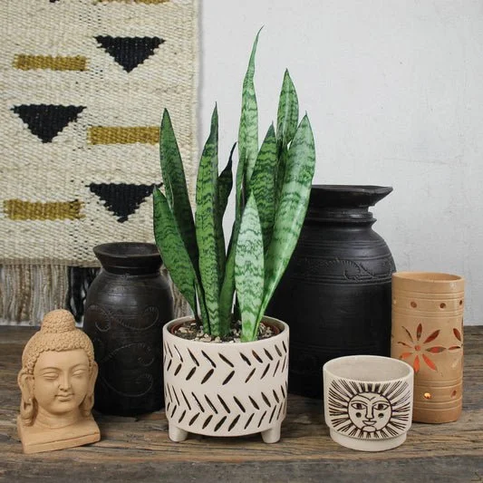 Carved wood pot, dark, one of a kind, from Flipping Creative Mindful Market