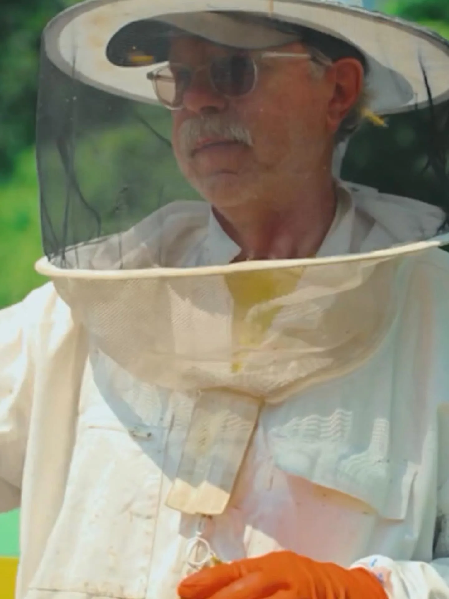 Save the date! Join Slow Food Hudson Valley on Sunday, February 22, at the Kinderhook Memorial Library for an afternoon with bees, honey tasting, and the people who care for them.

In partnership with Bee Hollow Farm, a family-owned and sustainably o