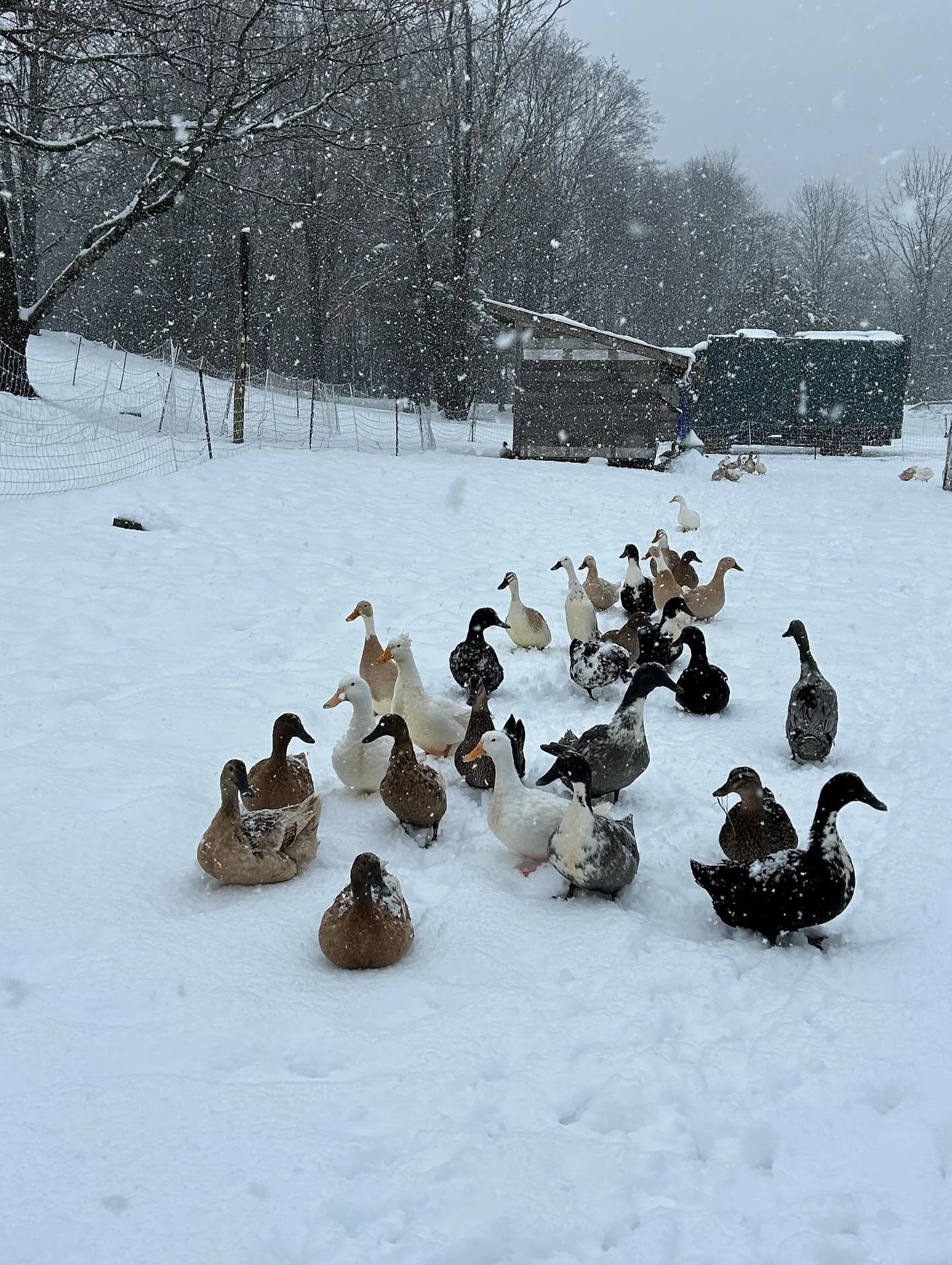 Slow Food Hudson Valley works locally to strengthen our regional food system &mdash; connecting farms, kitchens, and community partners to ensure that good, clean, and fair food is accessible to all.

Every collaboration, event, and shared table help