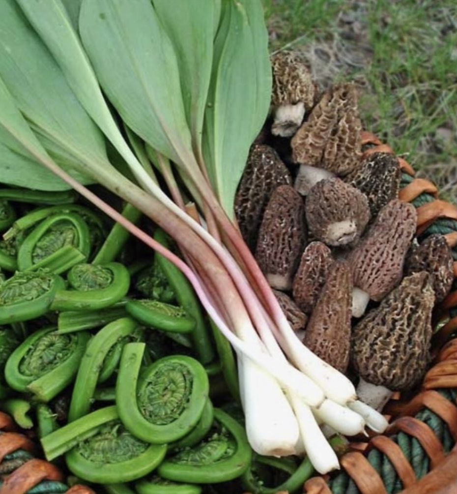 Wild Hudson Valley: A Spring Benefit for Slow Food Hudson Valley