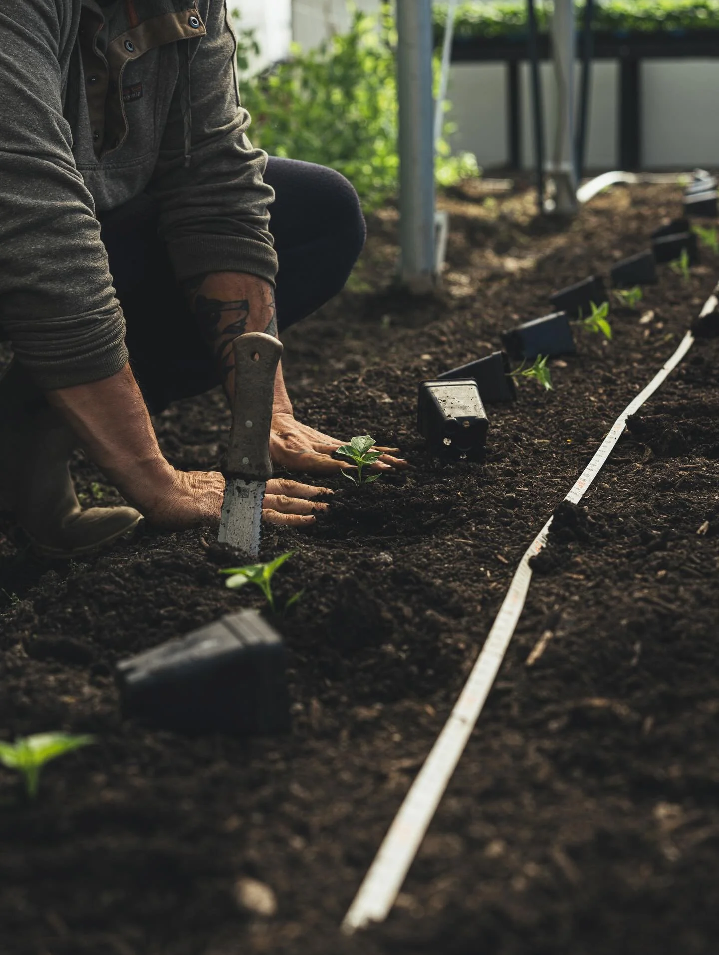 We&rsquo;re nearing a season grounded in Hudson Valley farms, farmers, and a food system&nbsp;we&rsquo;re proud to support.

Wild Hudson Valley, presented by Rigor Hill Farm. A spring benefit for Slow Food Hudson Valley
Sunday, April 26 | 2&ndash;5 P
