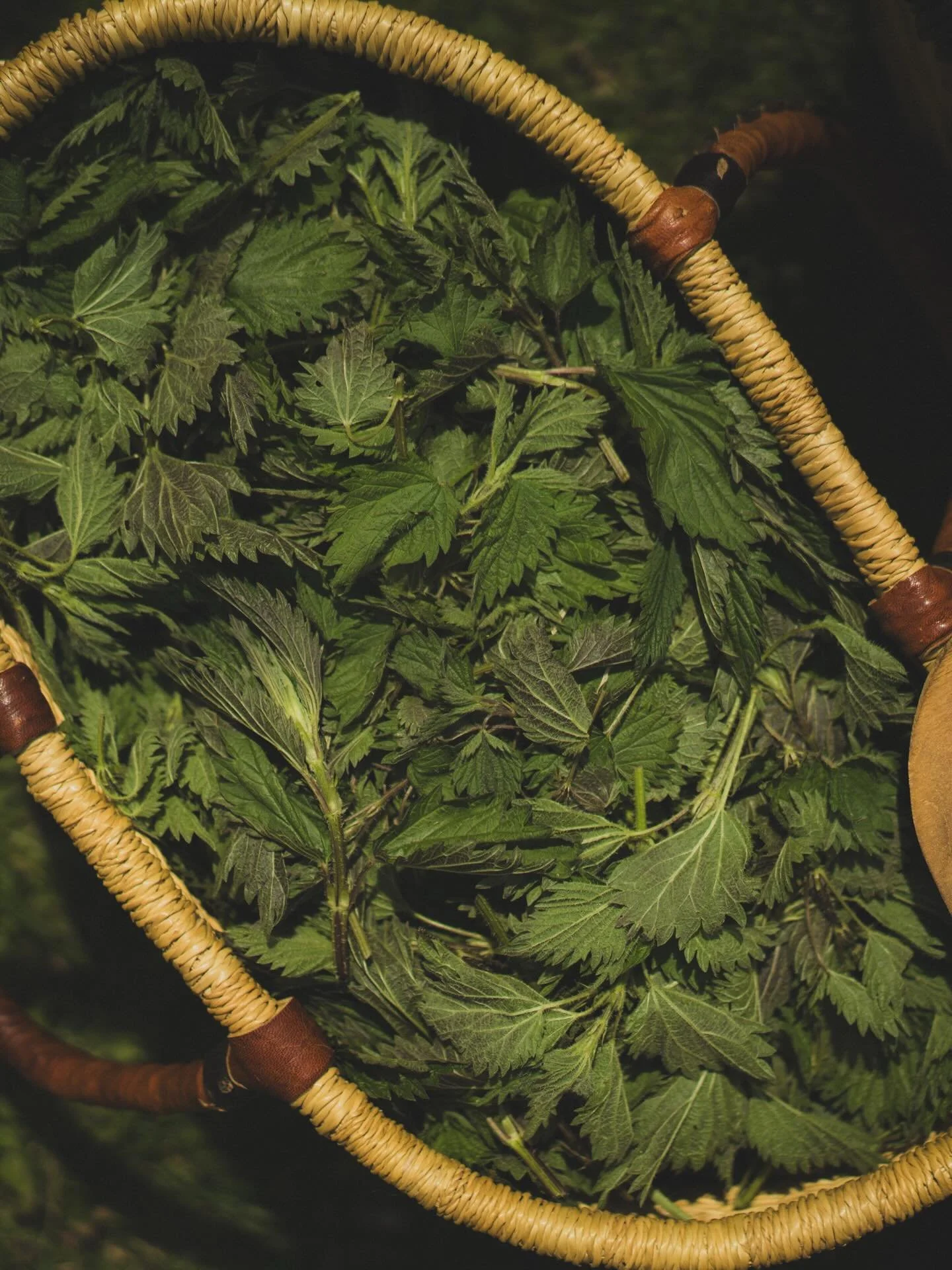 With Slow Food Hudson Valley&rsquo;s spring benefit just weeks away, we&rsquo;re thrilled to see this celeration come into focus. Wild Hudson Valley (Sunday, April 26) is made possible through the abundant support of our community. Our deep thanks go