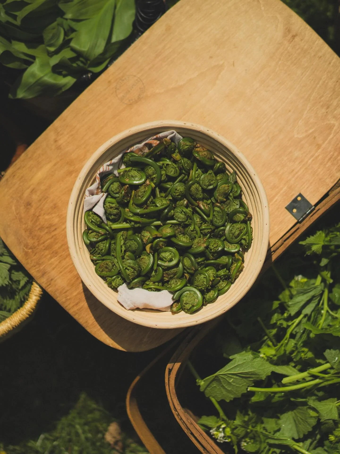 Wild Hudson Valley, presented by @rigorhillfarm centers around a spring menu, shaped by some of our region&rsquo;s most acclaimed chefs. Each brings their own voice and connection to our region. The menu builds on ingredients from local farms, fields