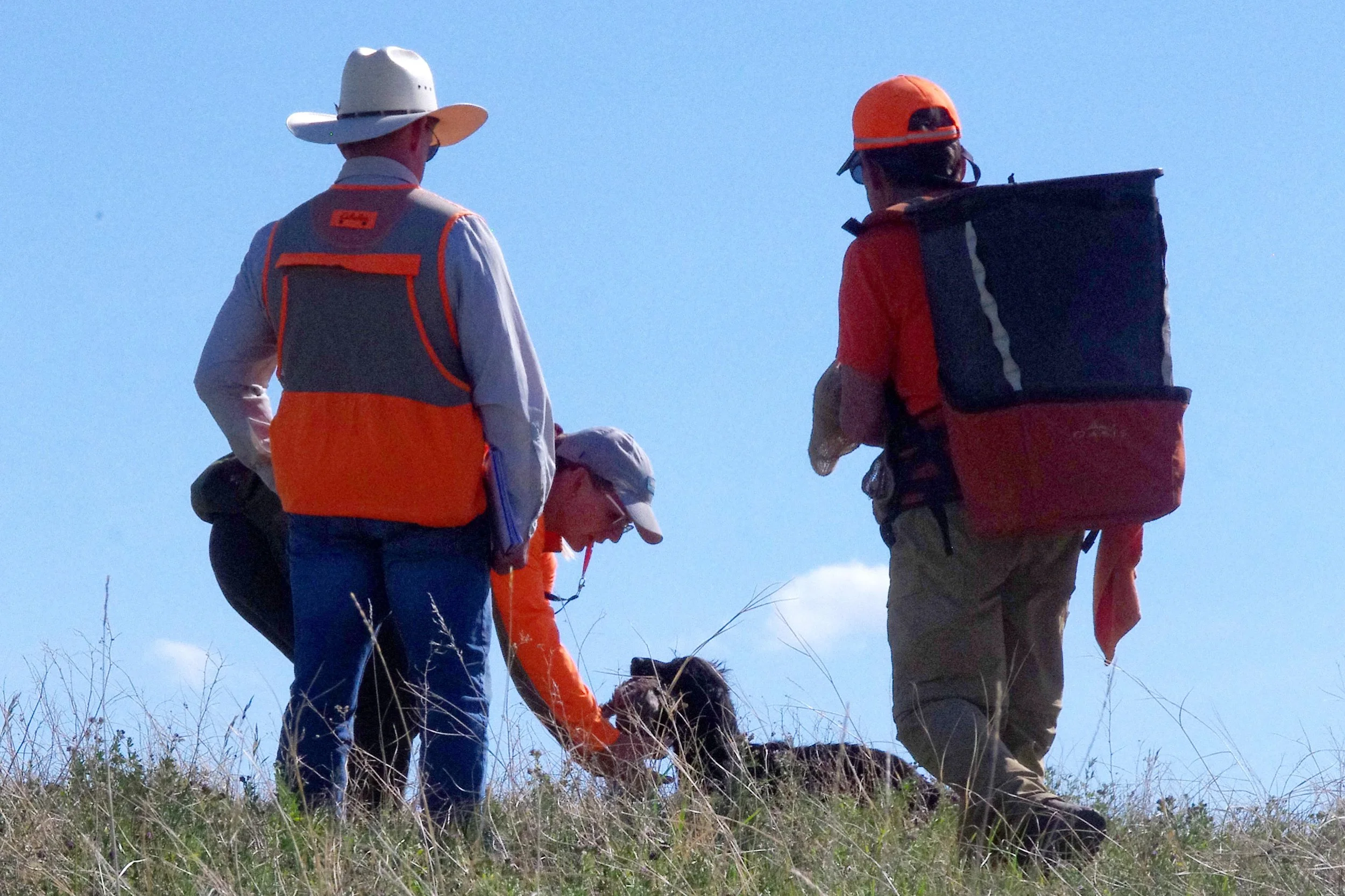 Services — Prairie Fauna Kennels