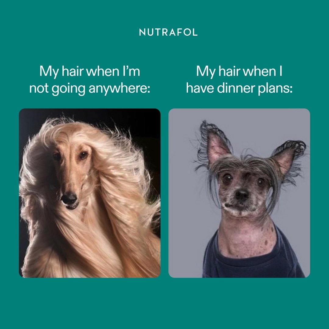 Looking to grow your hair out? We carry Nutrafol vitamins!

Nutrafol provides healthy hair growth that now can be delivered right to your door! Just click the link in our bio to learn more! 

#coloradohairextensions #hairextensionspecialist #hairexte