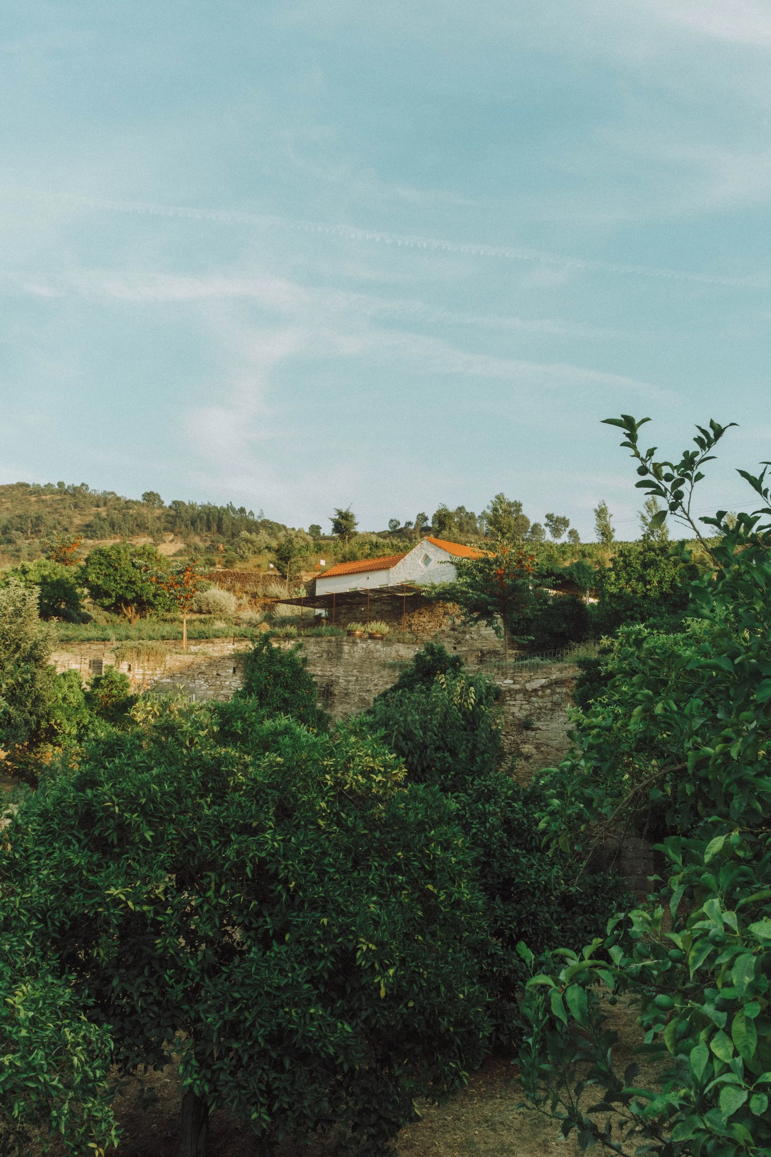 DSCF4195.jpg