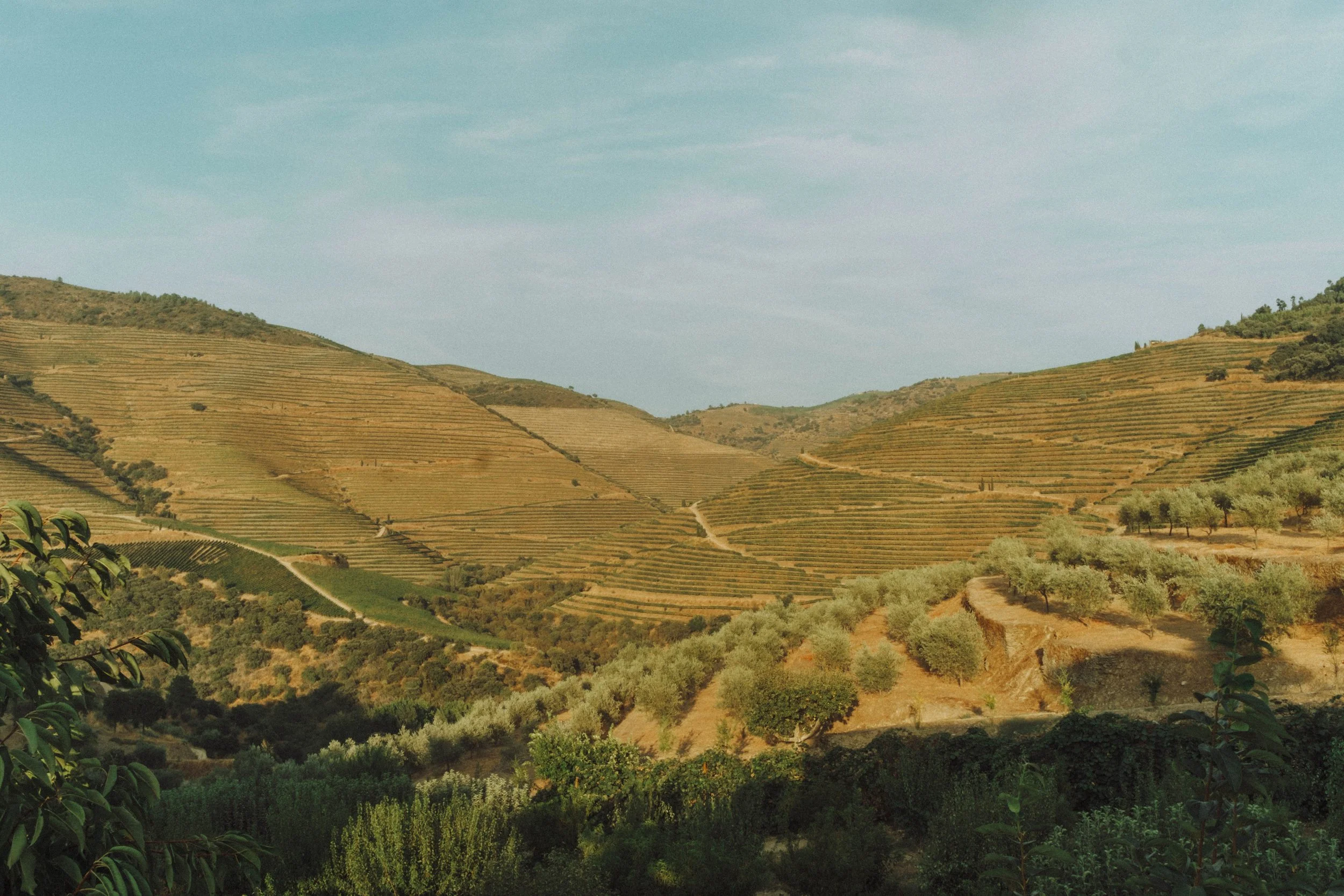DSCF4185.jpg