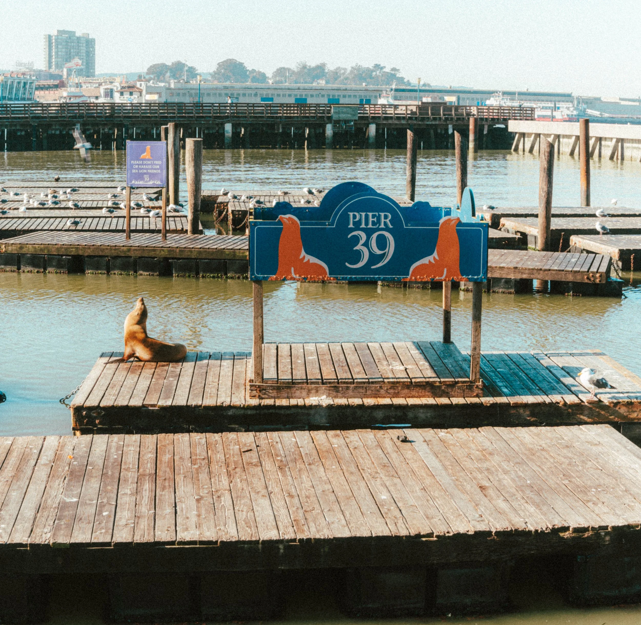 A7401631.jpg