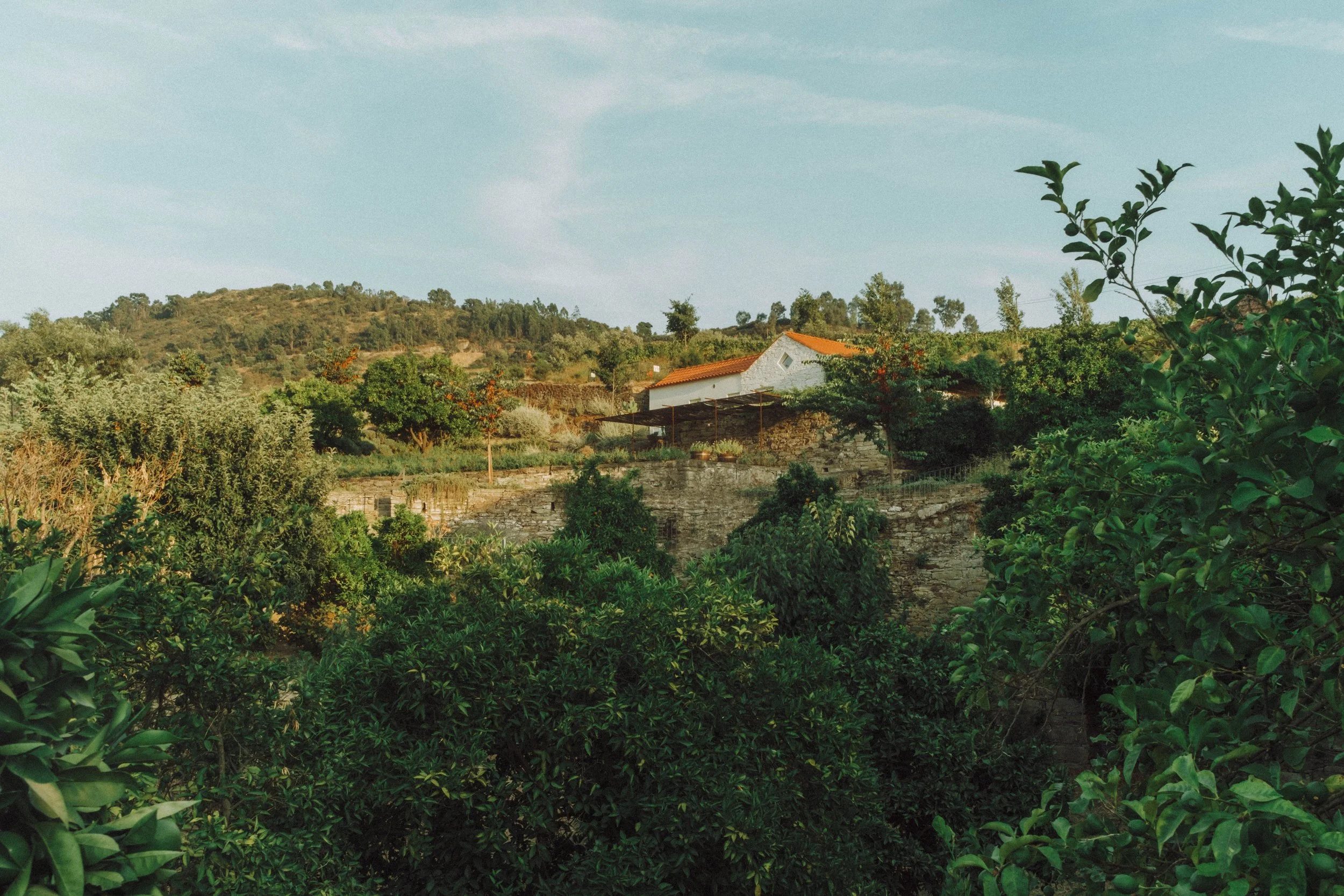 DSCF4194.jpg