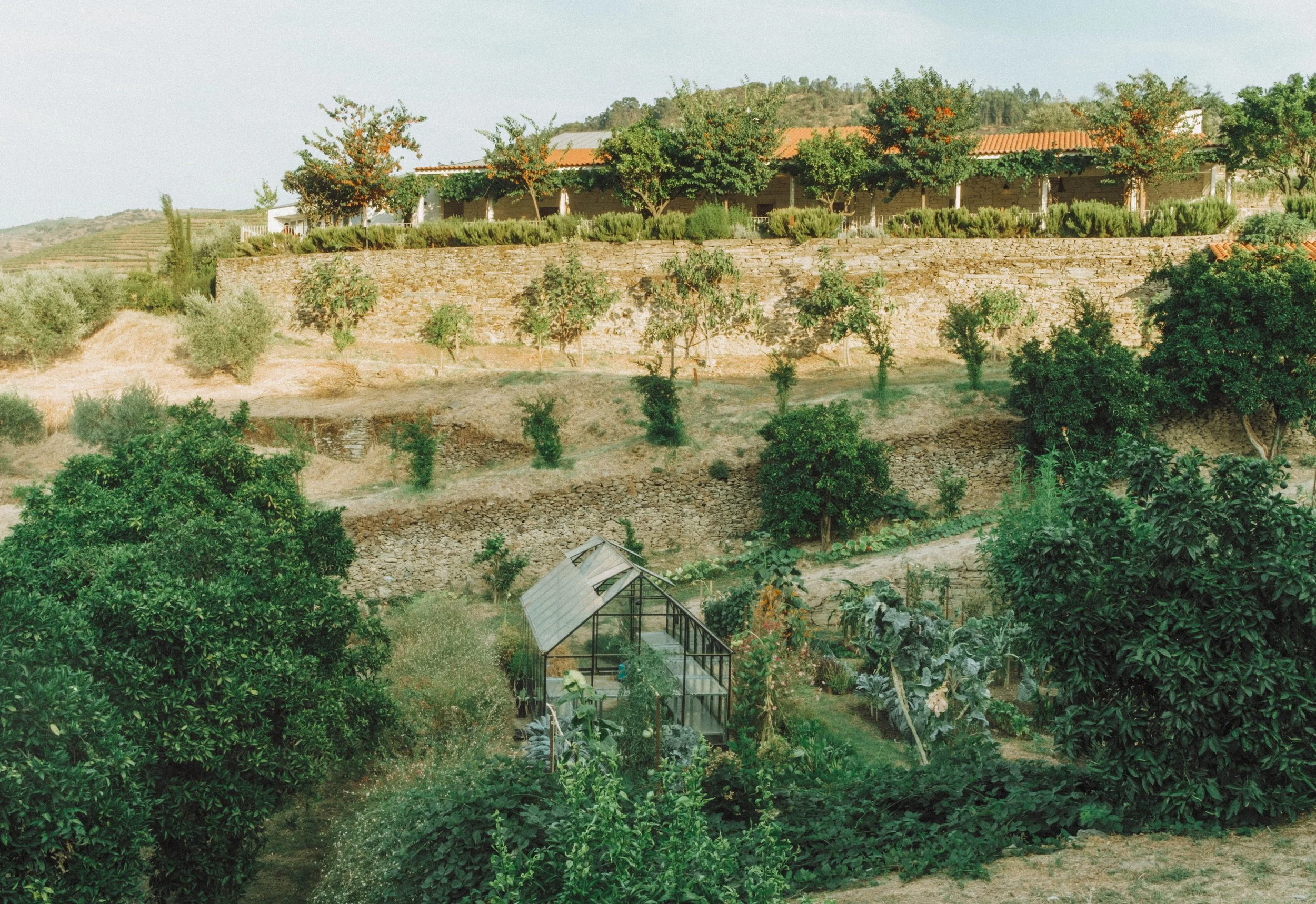 DSCF4184.jpg