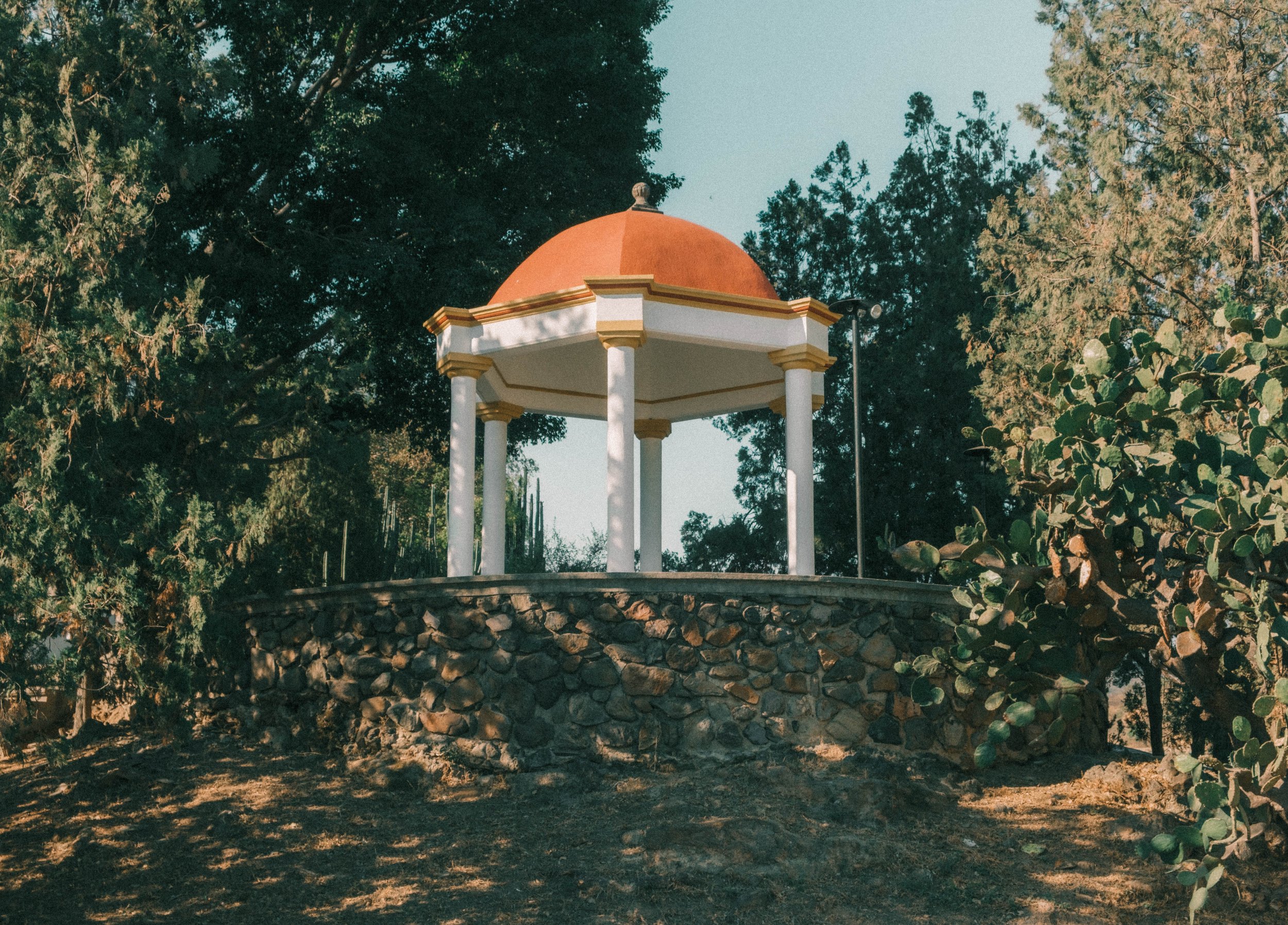DSCF1799.jpg
