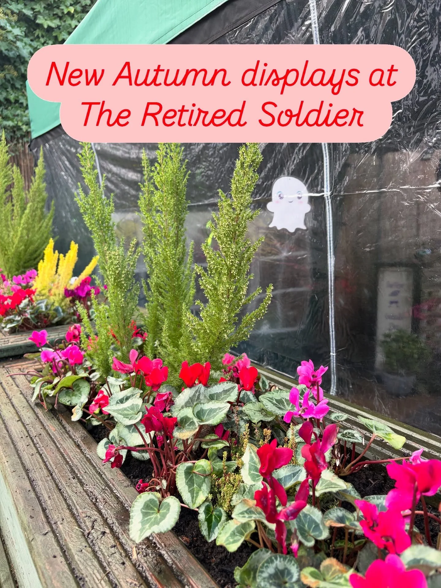 The store is shut but we&rsquo;re still planting up around Malvern. Last time we planted this up it was 30 degrees - now autumn is in full swing. Thanks to Jackie at the Retired Soldier and @wilful.translation for a great job 👏 😍😍😍