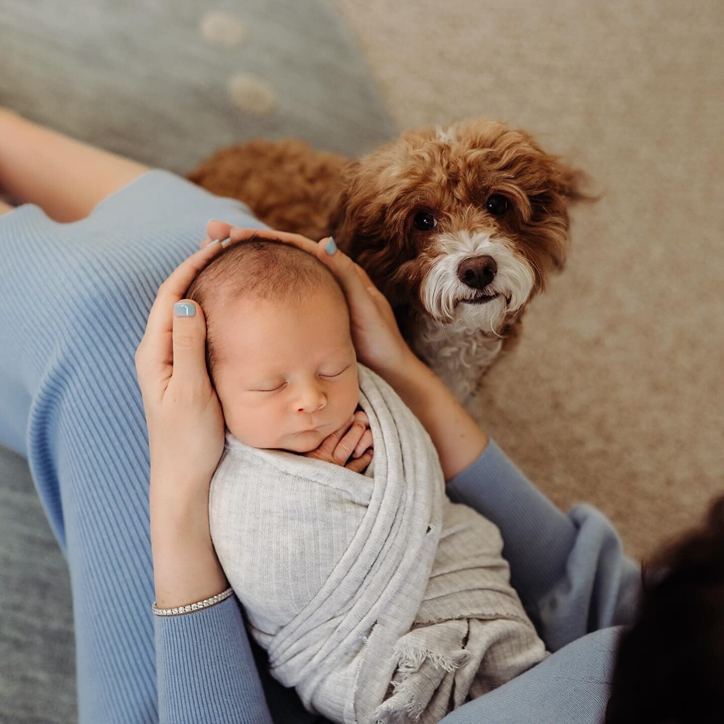 Happy almost Friday! 🩵
Sharing the cutest baby boy with you. Truly loving these lifestyle newborn sessions. Being in your beautiful homes and including those precious fur babies is just so special. 🐾  #robinhansenphotography