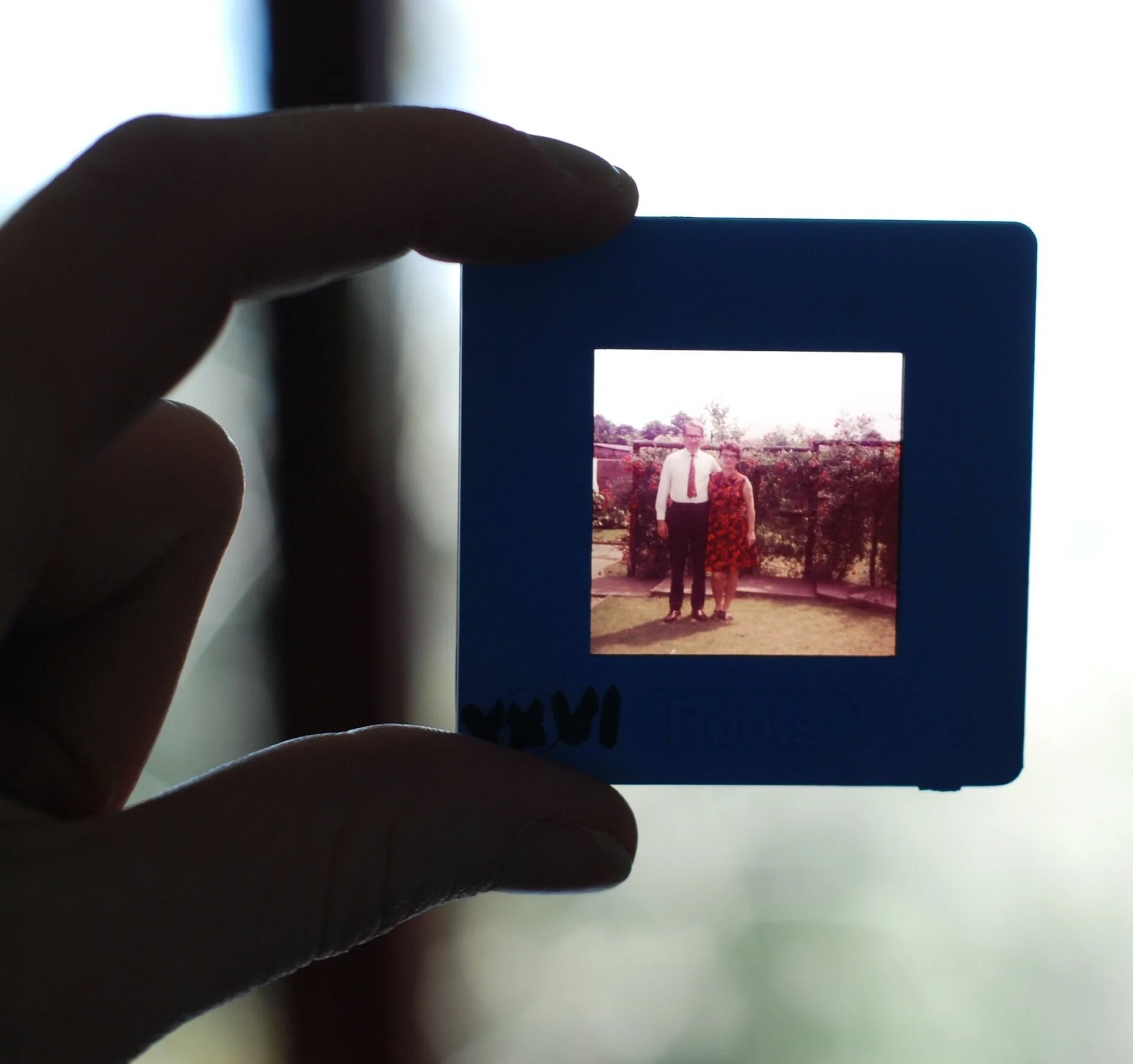 A hand holding an old film strip of a man and woman posing together