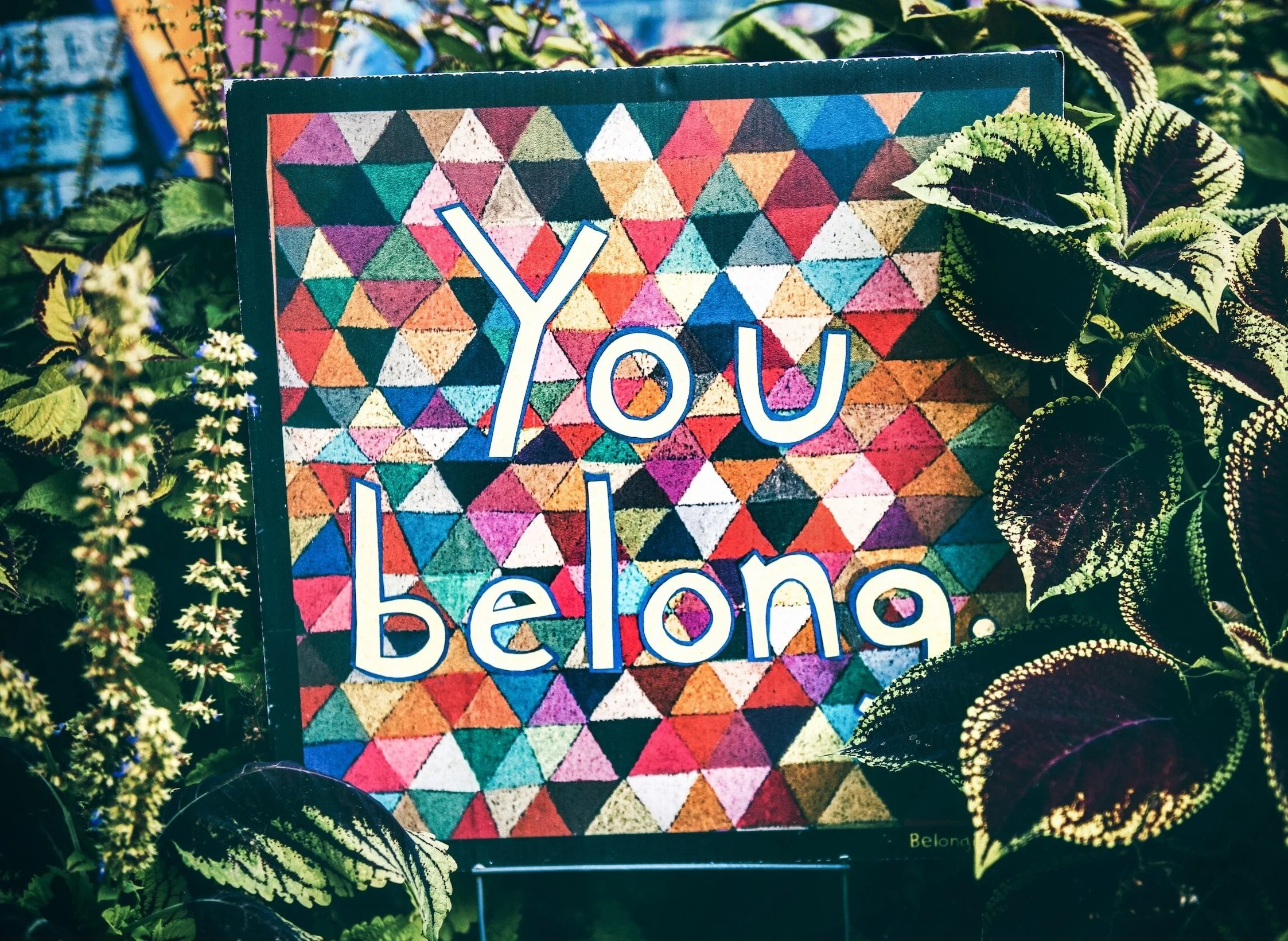 Colorful sign stating you belong