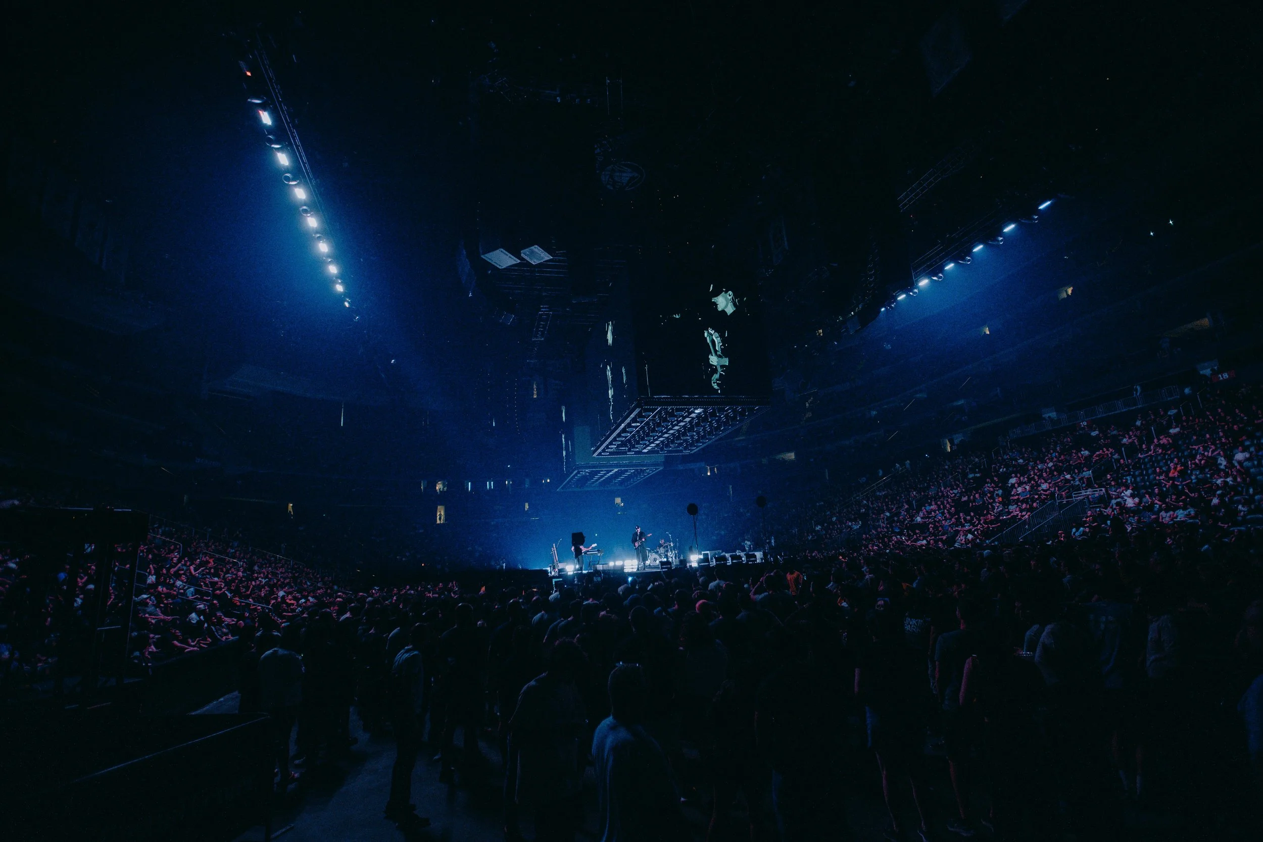 Photo by India Fleming