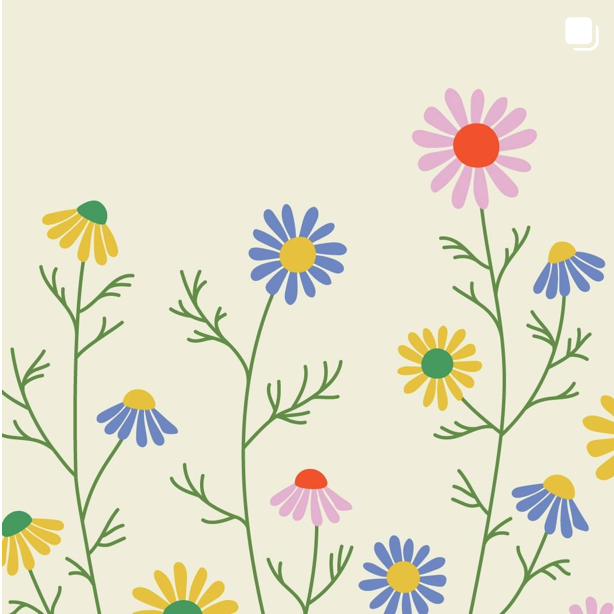 Screen Shot 2023-10-11 at 11.55.54 AM.png