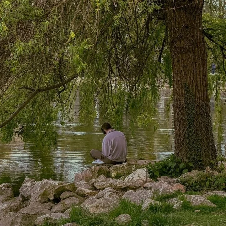 Person sitting on rocks beside calm river under trees, looking down quietly.