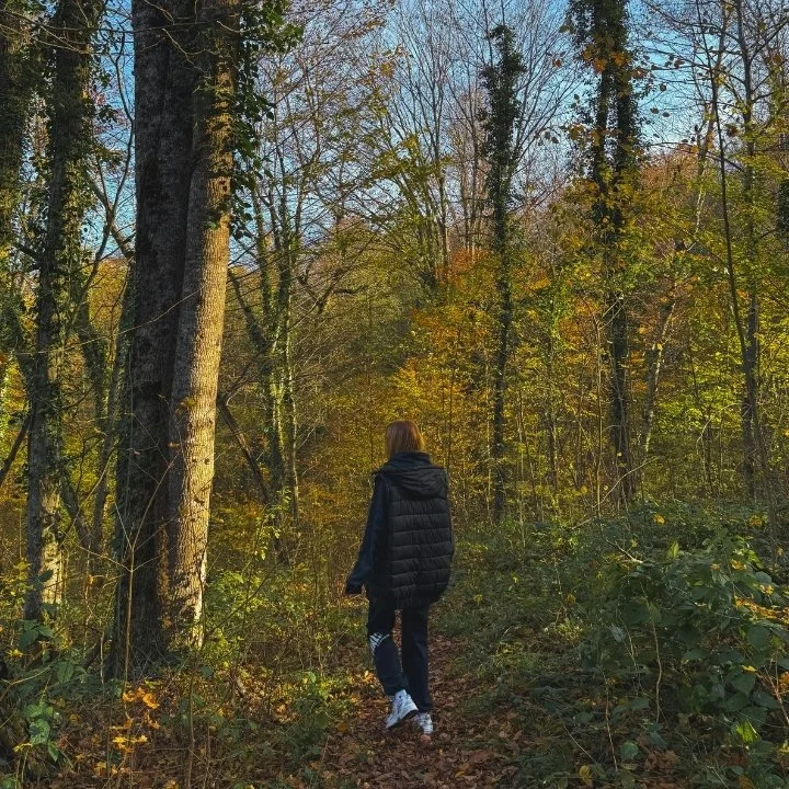 Best Therapists in Rochester Hills, MI | Dedicated Mental Health Care