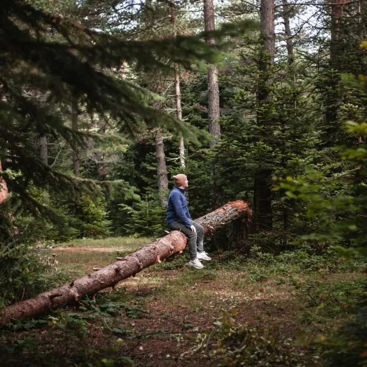 Person sitting alone in nature reflecting on emotional well-being.