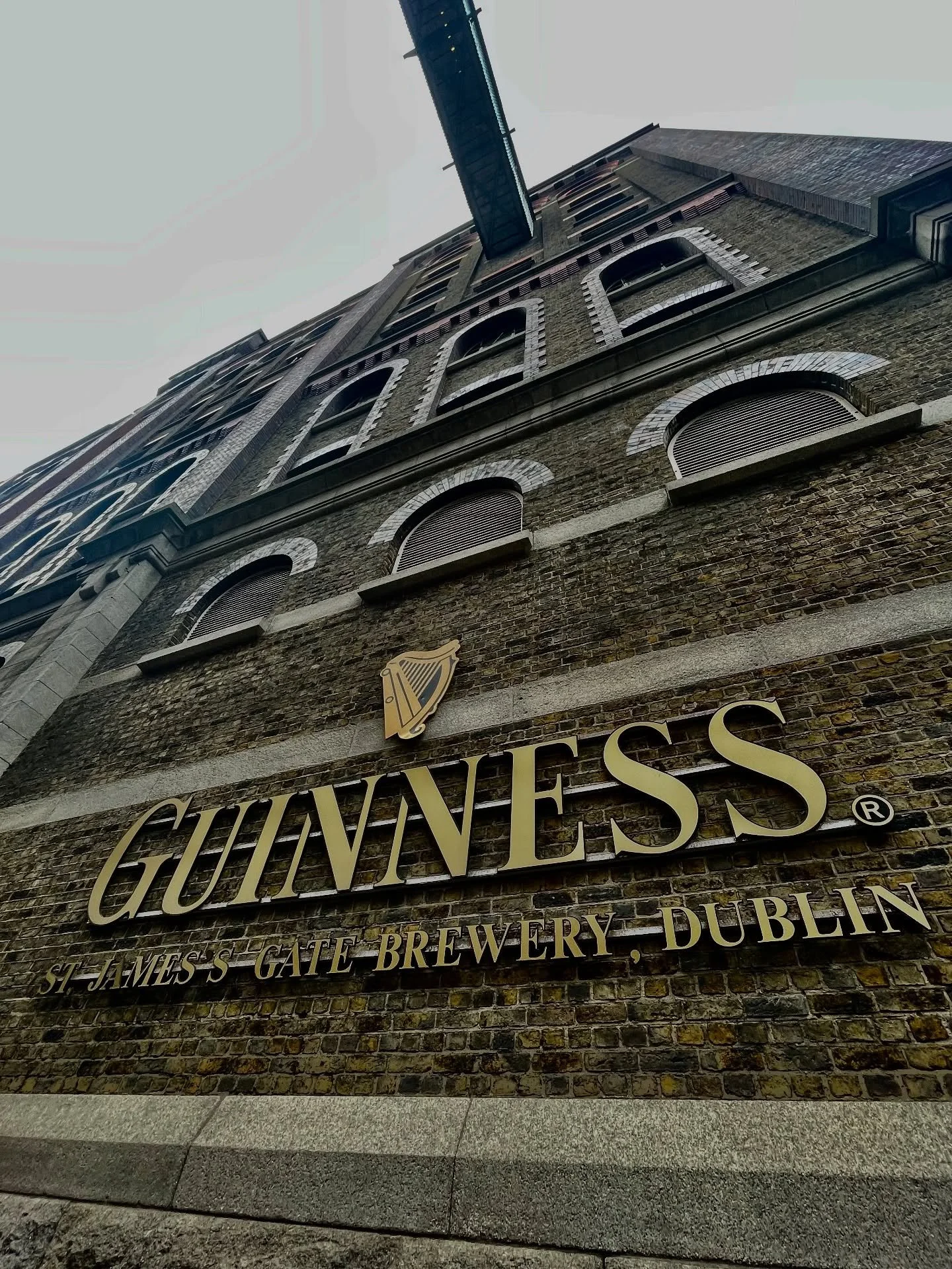ギネスビール🇮🇪Destination Dublin! 🍺 Guinness is good for you… right?! 😉 All that iron & minerals😜
⠀⠀⠀⠀⠀⠀⠀⠀⠀
#Fermentation magic at its finest, just like beloved Sake! 🍶
⠀⠀⠀⠀⠀⠀⠀⠀⠀
✨Good brews unite us all! 🍶✨
⠀⠀⠀⠀⠀⠀⠀⠀⠀
I’m so thankfu