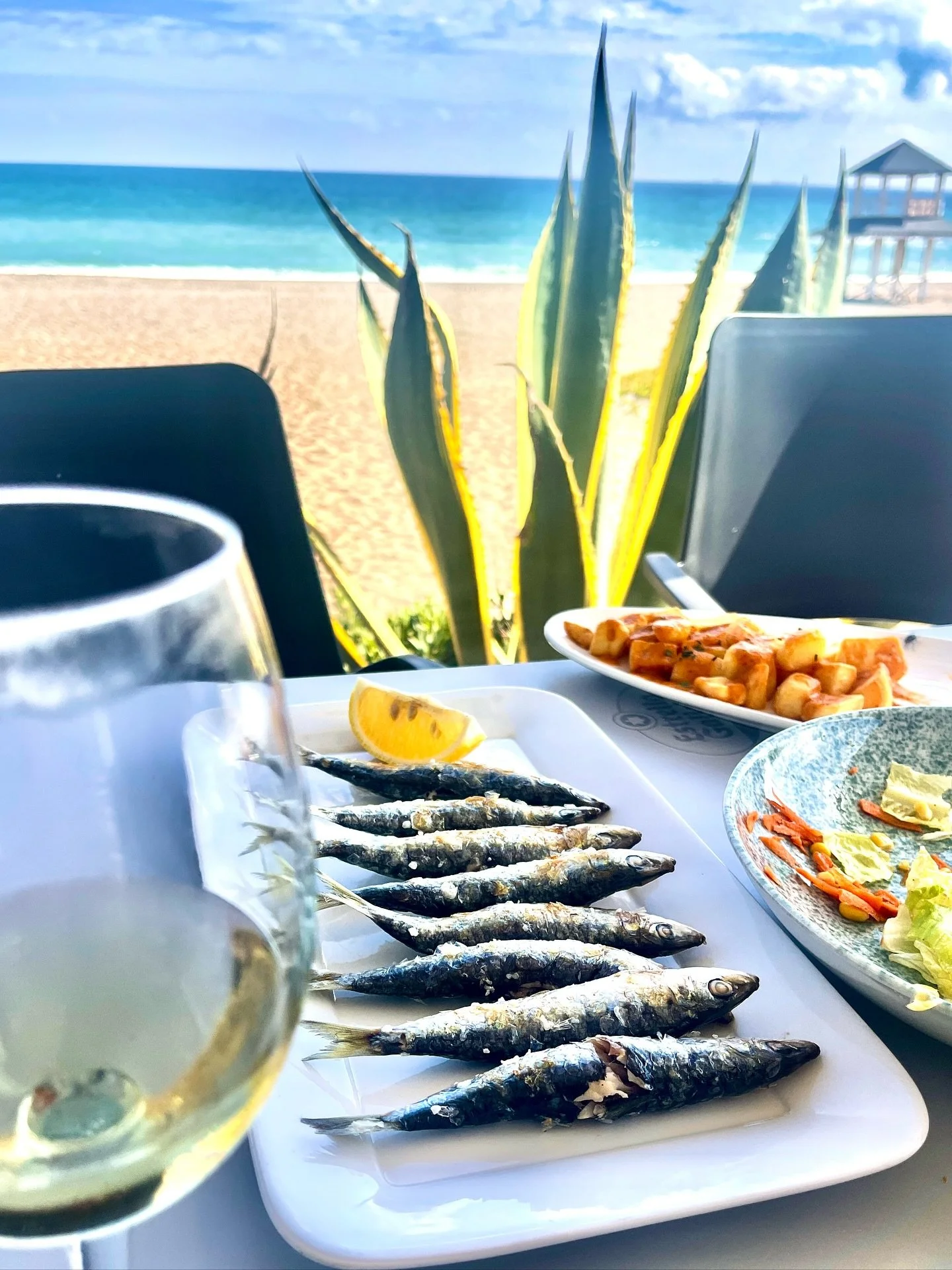 🍁”Autumn is for Appetite” as we say in Japanese😆 #食欲の秋 
Autumn at the beach! 🌊  Fish grilled over open fire, Southern Spain costa style = Espetos! Pure Fish🤤 Ah, dream for fish lovers💖 
Autumn also means considerably less people &a