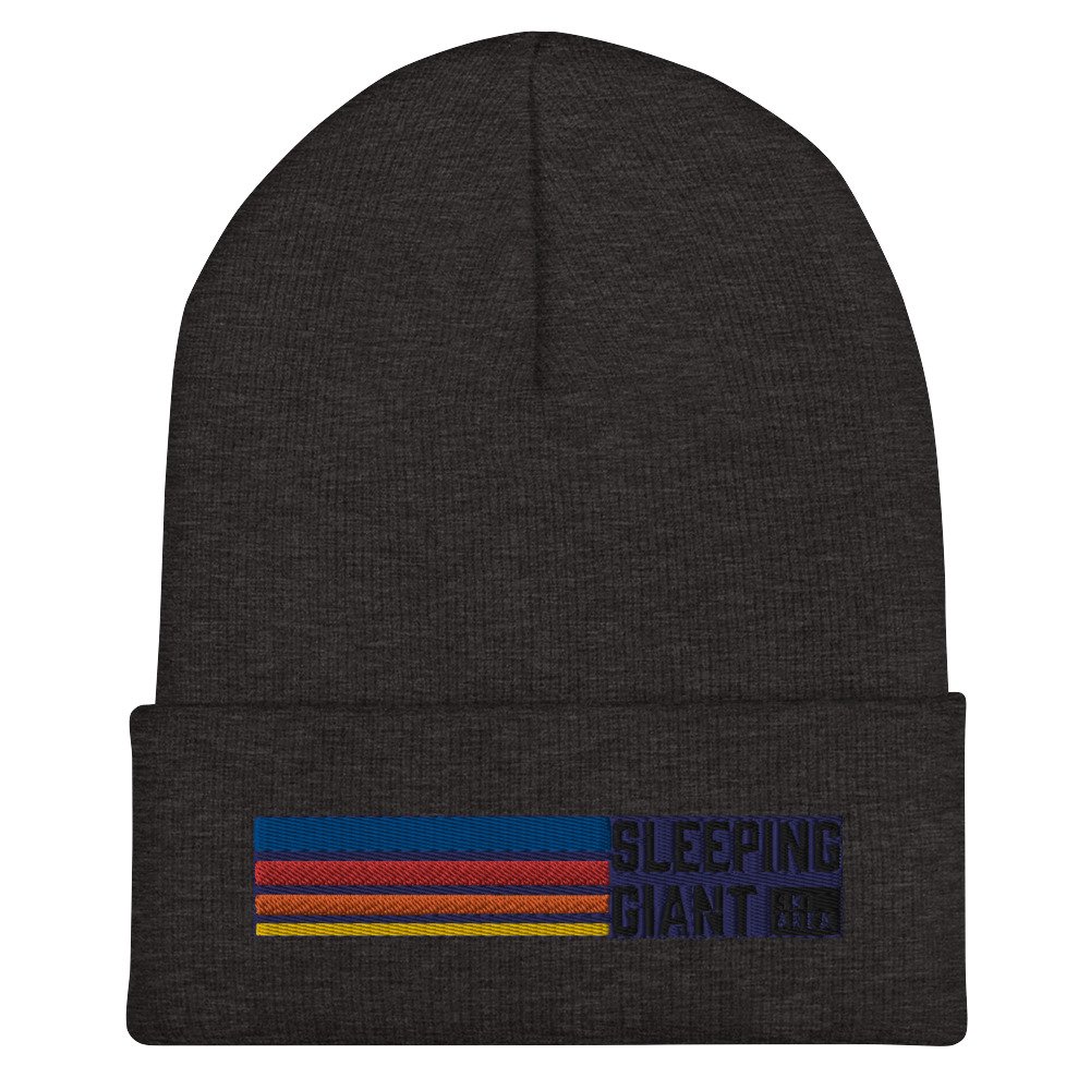 cuffed-beanie-dark-grey-front-6552e6f39eb23.jpg