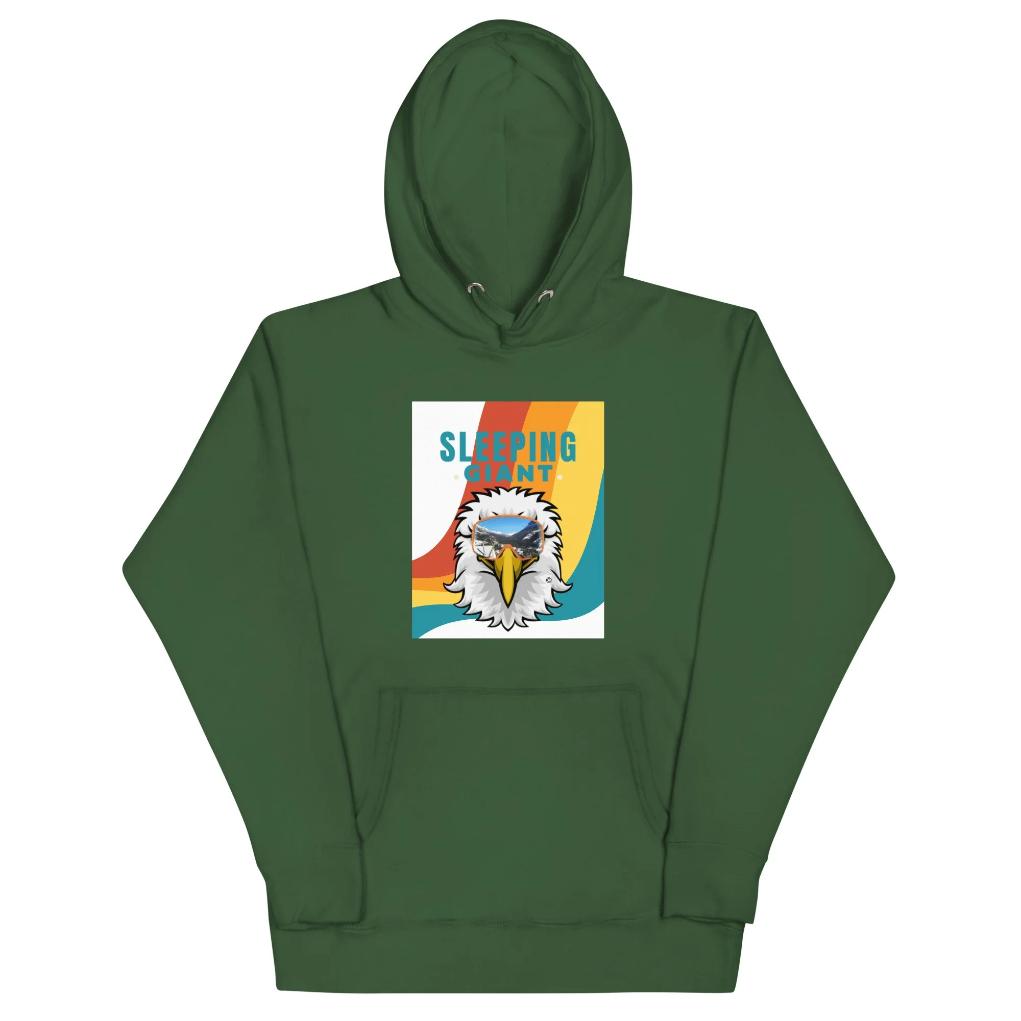 unisex-premium-hoodie-forest-green-front-656fa37d9dd0a.jpg