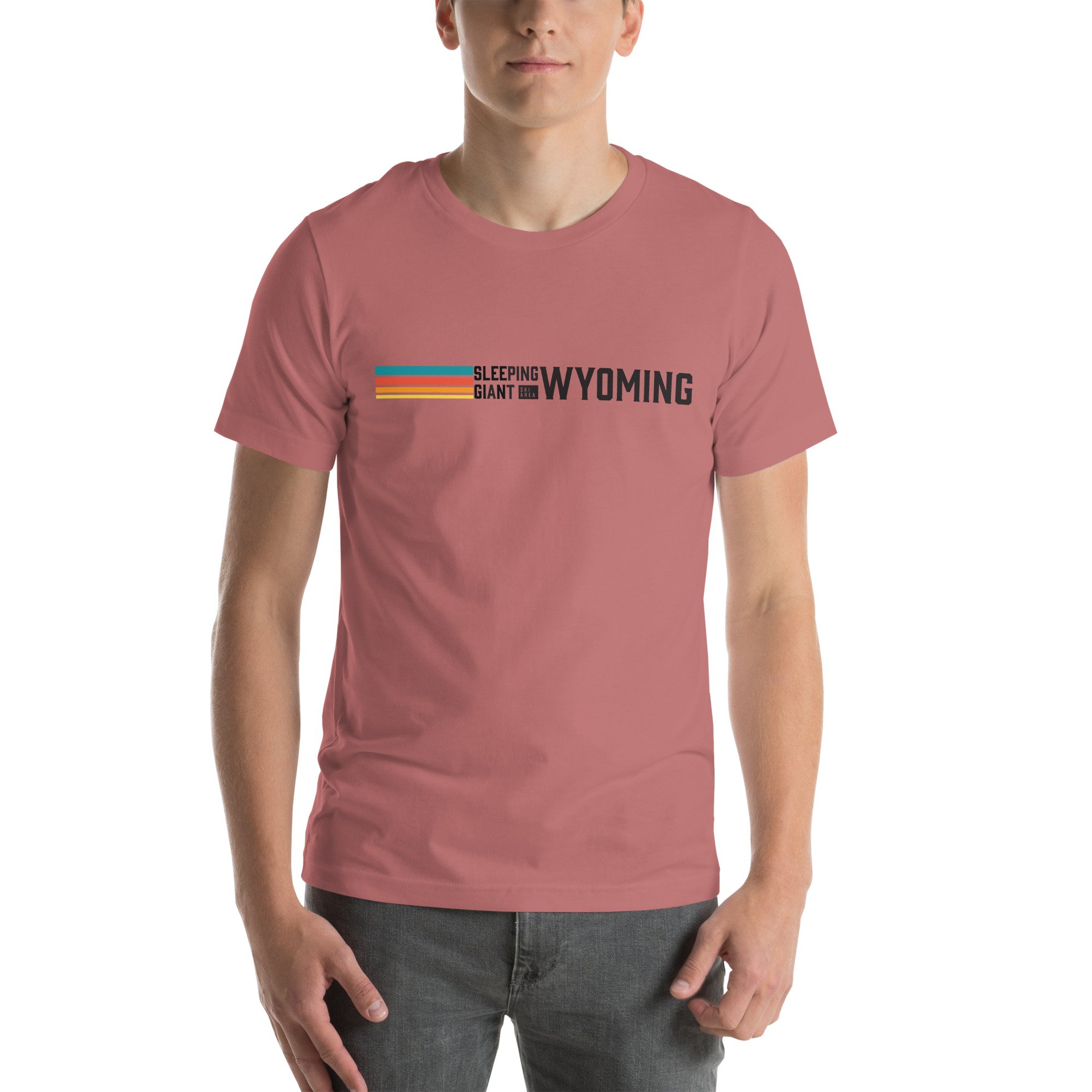 unisex-staple-t-shirt-mauve-front-6614d6d1b59de.jpg