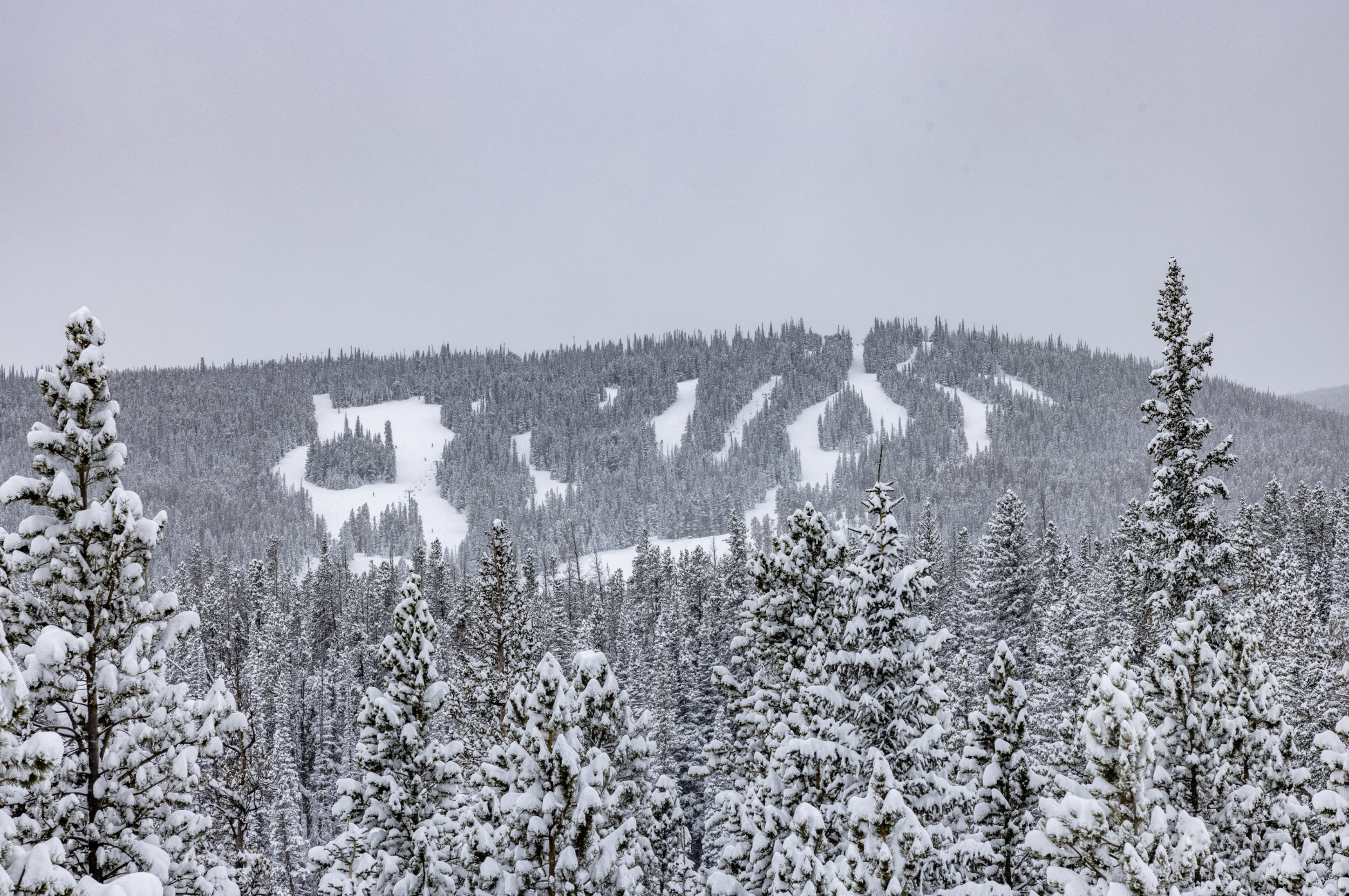 Screen Shot 2023-11-01 at 10.06.57 AM.png