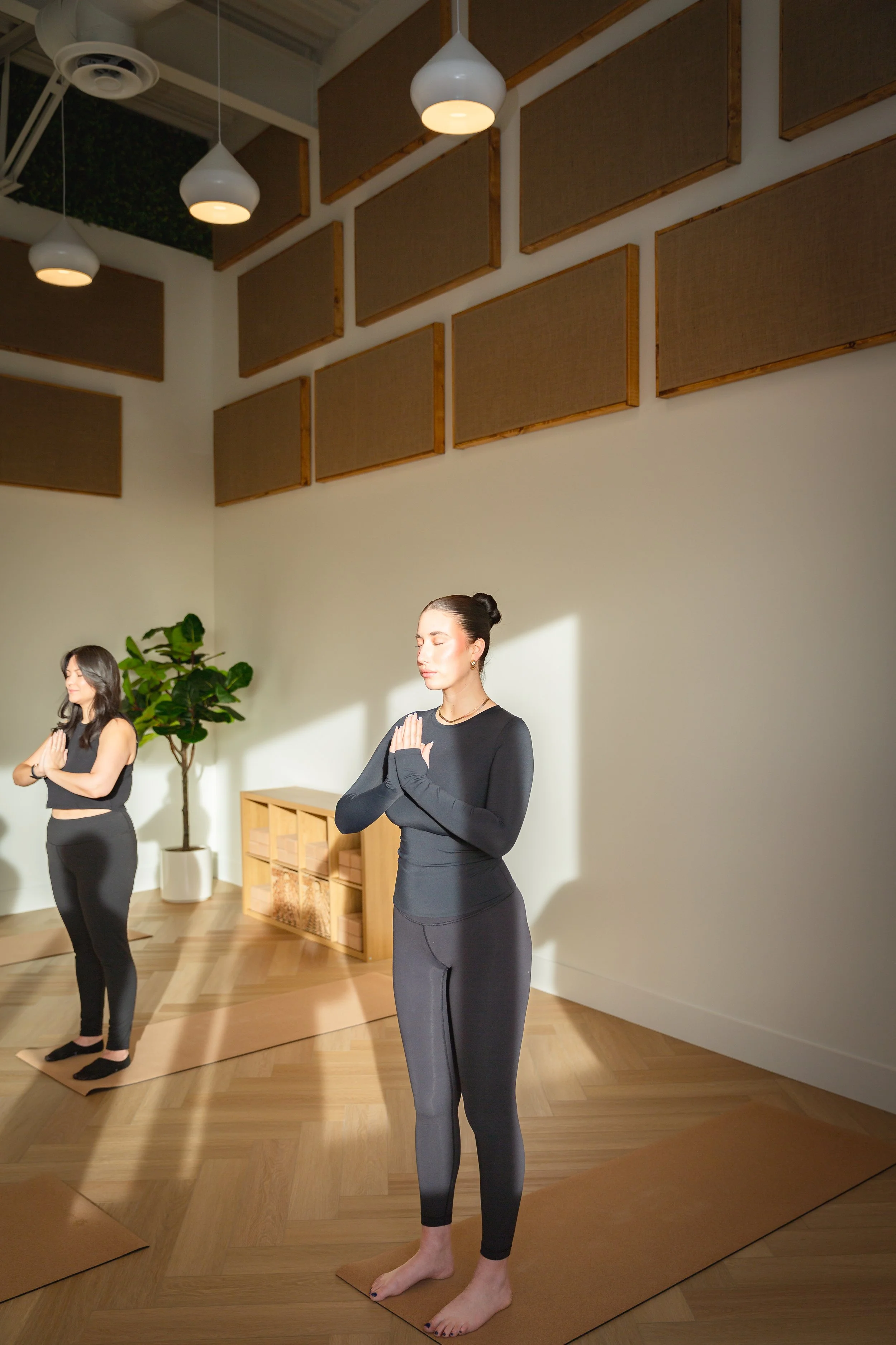 beginners yoga class that explores proper alignment in calgary