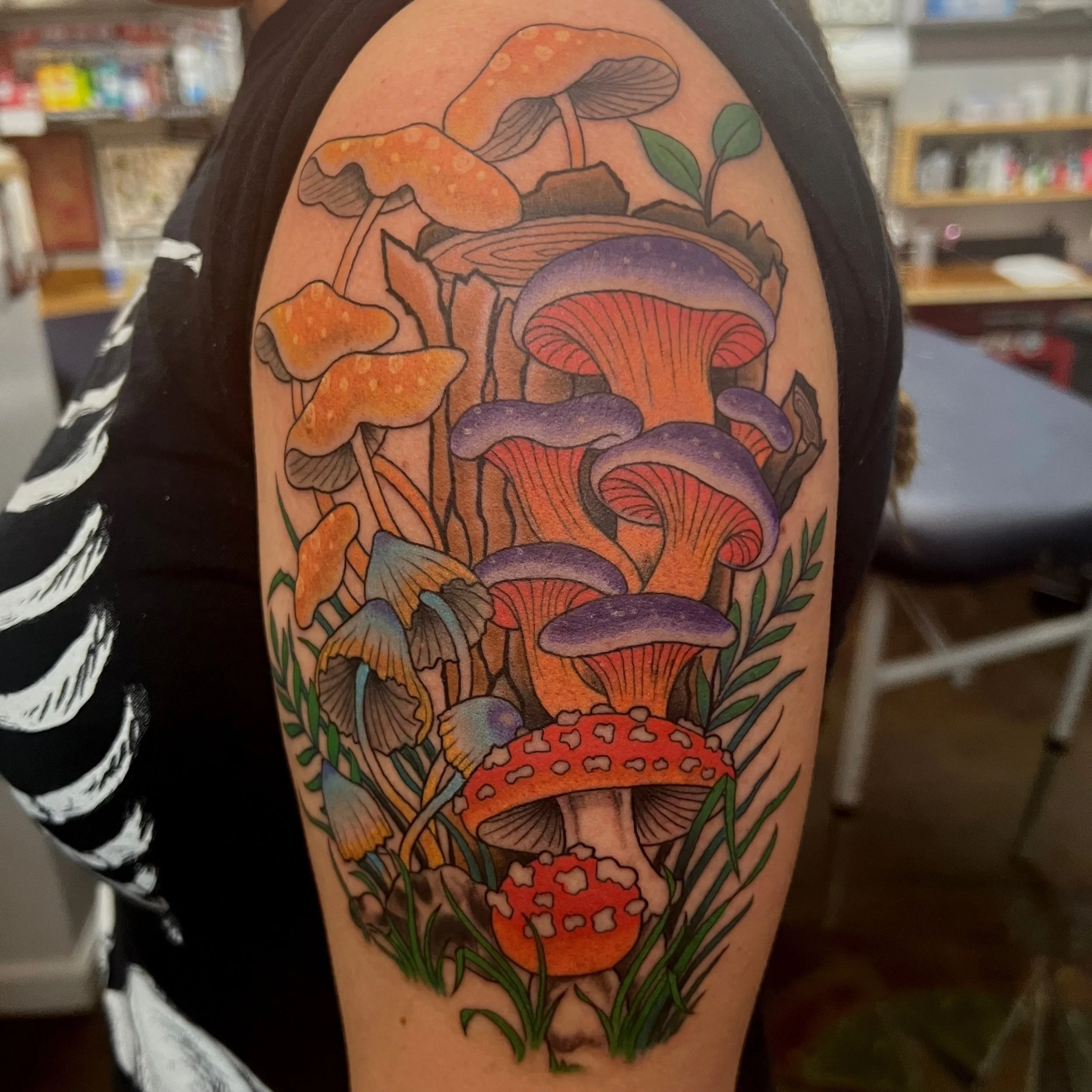 mushrooms